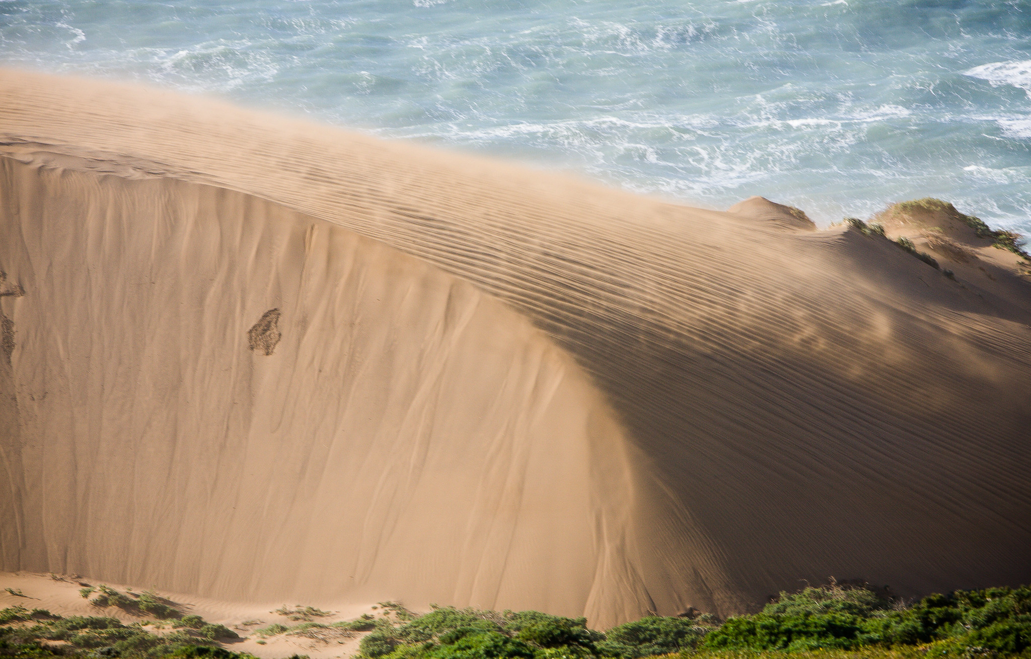 Point Reyes Sand Dunes