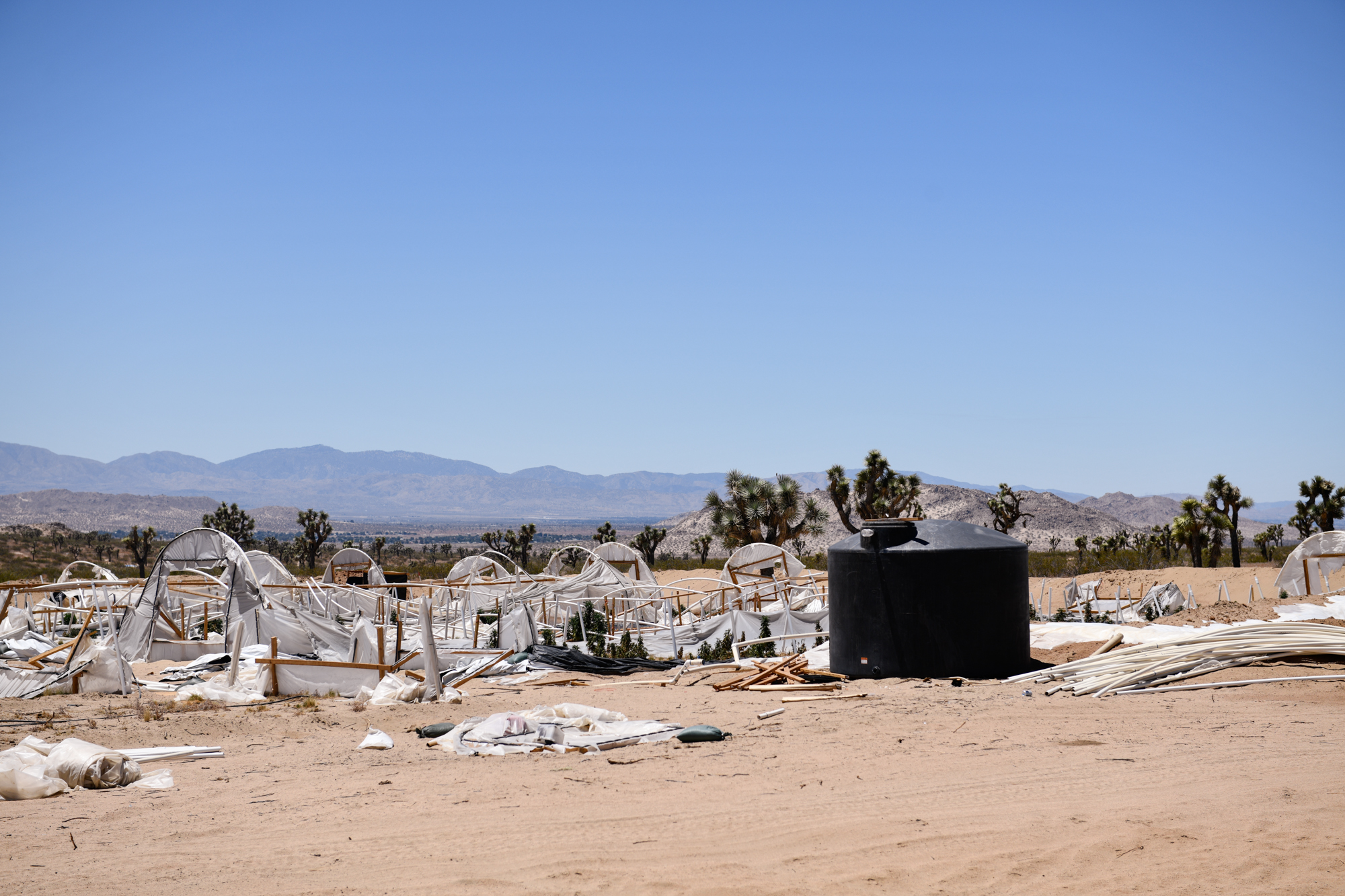 A recently raided illegal cannabis operation in Lancaster, on July 2, 2021. According to Charles Bostwick, a field representative for Los Angeles County supervisor Kathryn Barger, water thefts are closely related to illegal cannabis farming that is straining water shortages in Lancaster. Pablo Unzueta for CalMatters