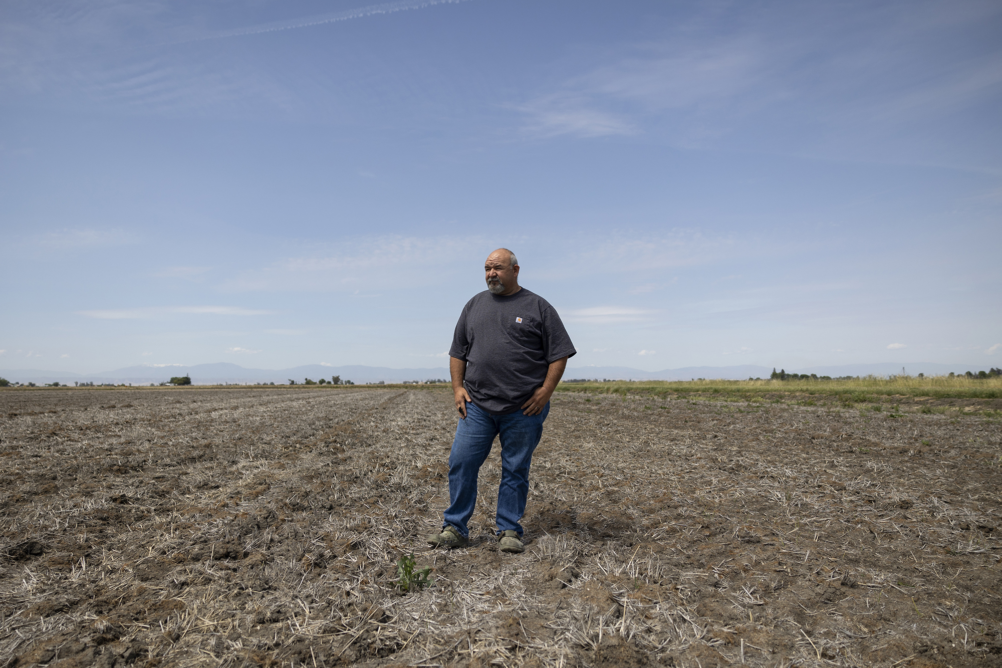 Mathew Garcia stands in one of his fallowed rice fields near his home in Glenn on April 25, 2022. Miguel Gutierrez Jr., CalMatters