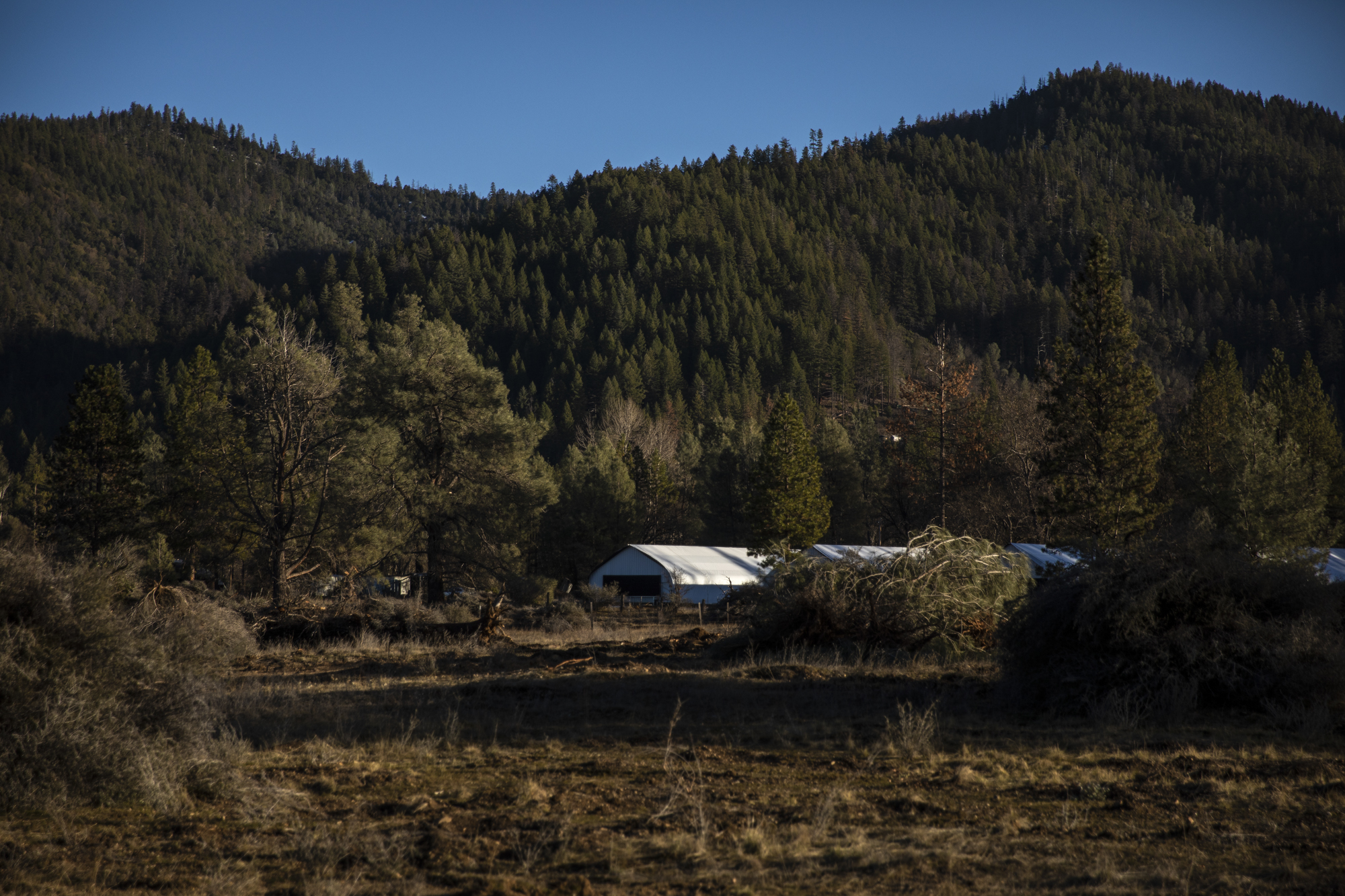 Buildings for cannabis growing sit unused on Scott Murisson's land in Hayfork on Feb. 7, 2023.