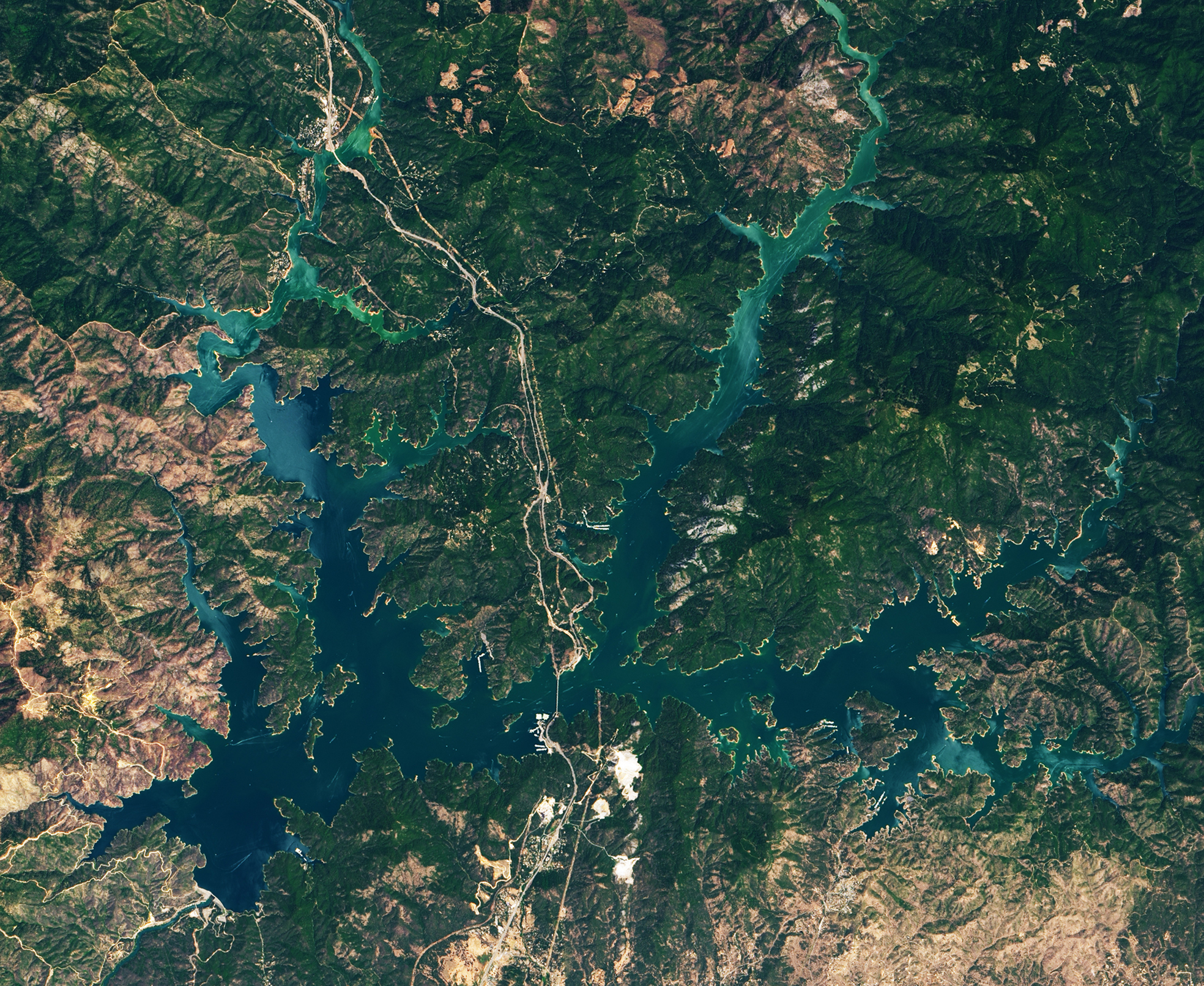 Satellite image of Lake Shasta on July 13, 2019.