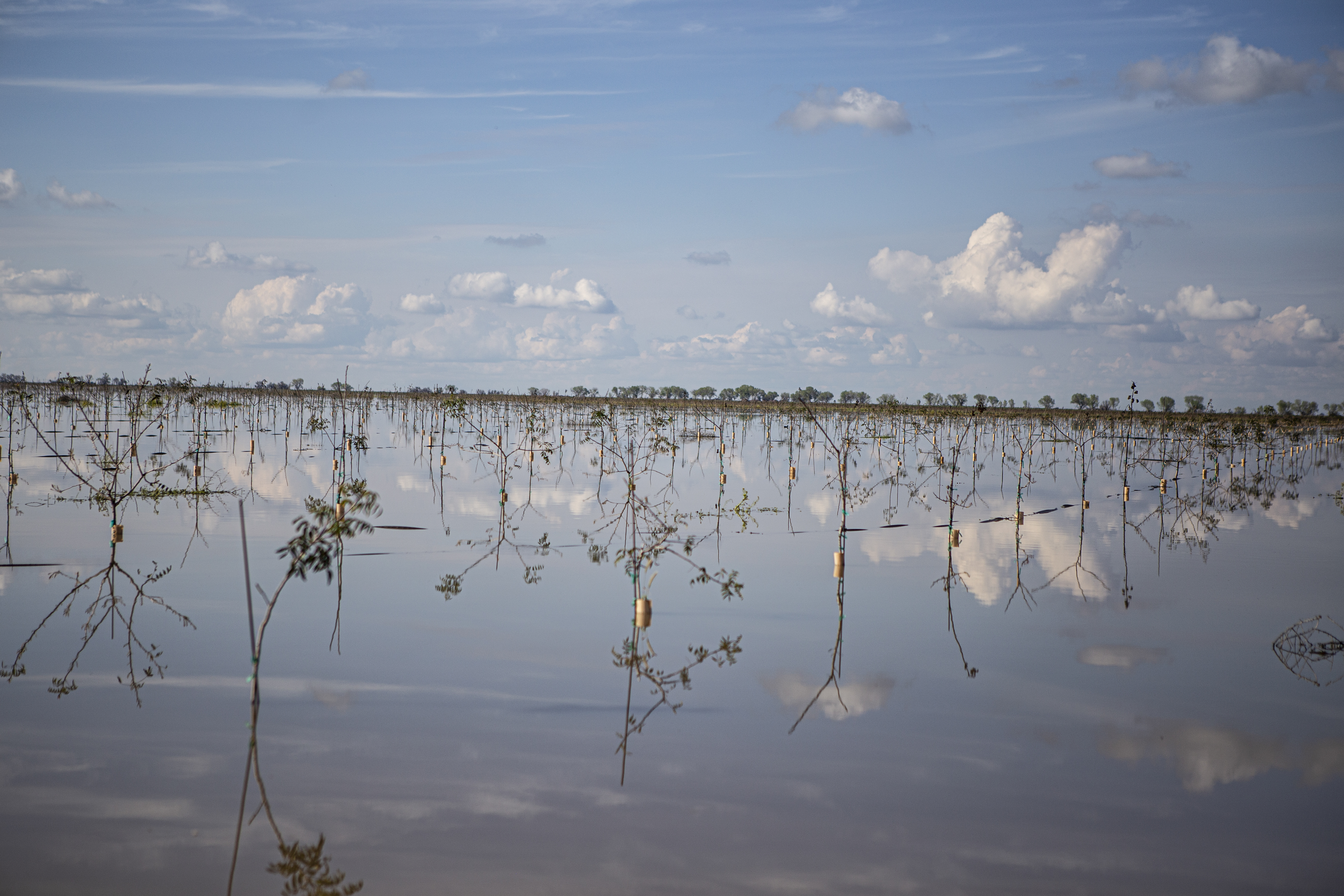 Flooded farmland along Highway 43 on March 20, 2023.