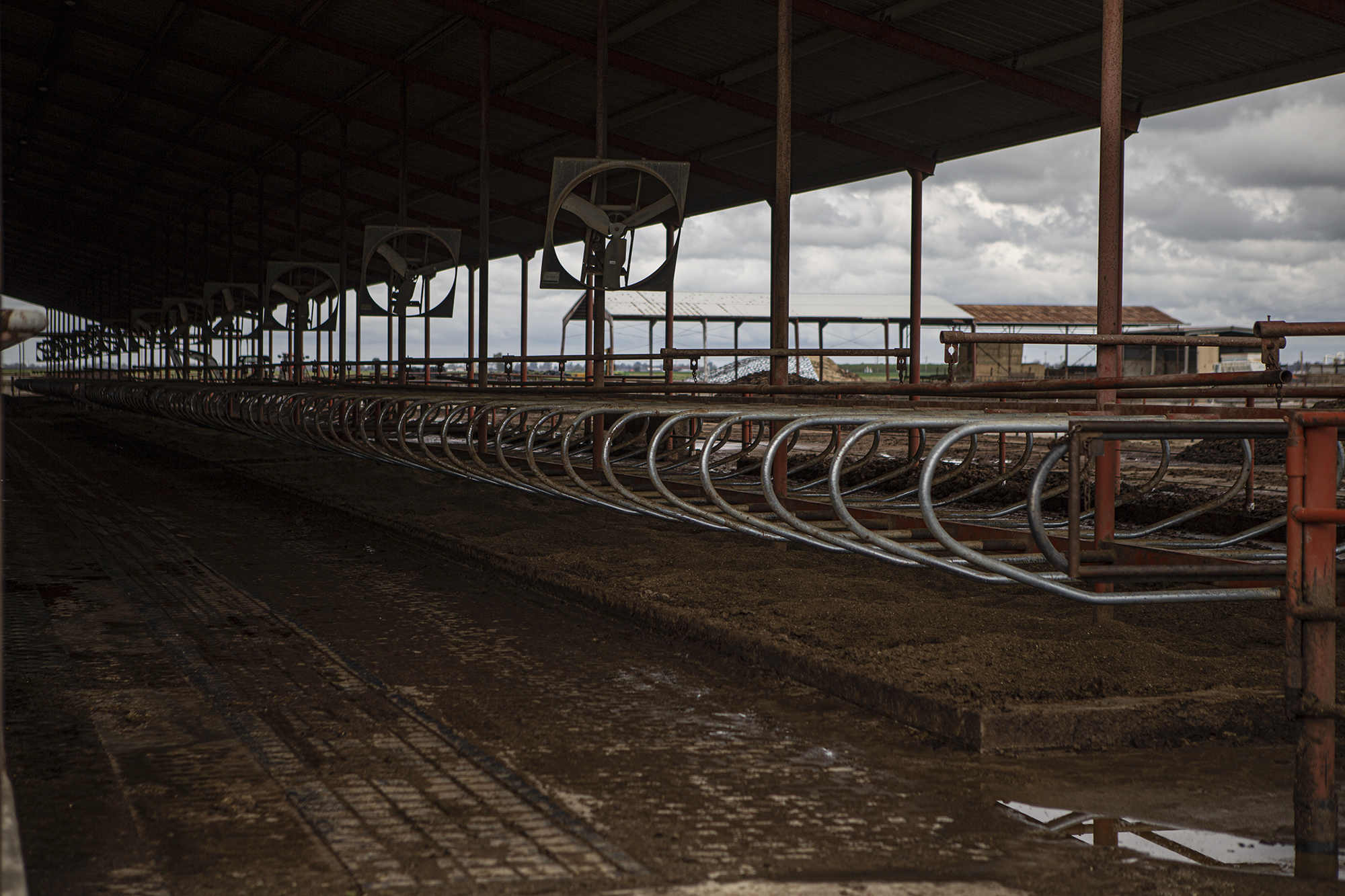 Empty cow stalls on Lerda-Goni Farms outside of Tulare on March 23, 2023. The stalls were emptied after floodwater submerged the farm after a series of storms.