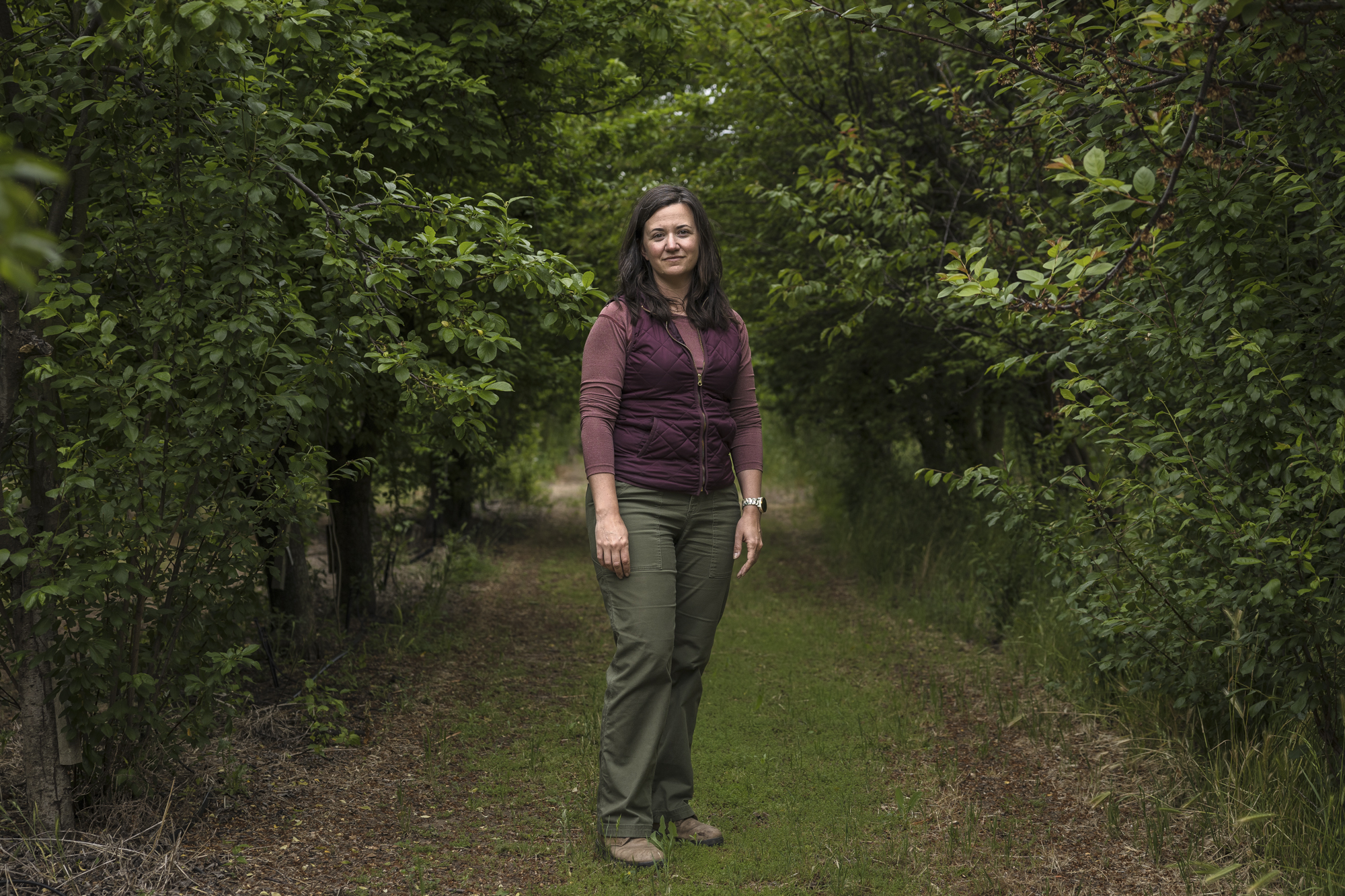 Claire Heinitz, a National Clonal Germplasm Rep with the United States Department of Agriculture, at the Wolfskill Experimental Orchards in Winters on May 4, 2023. Photo by Rahul Lal, CalMatters