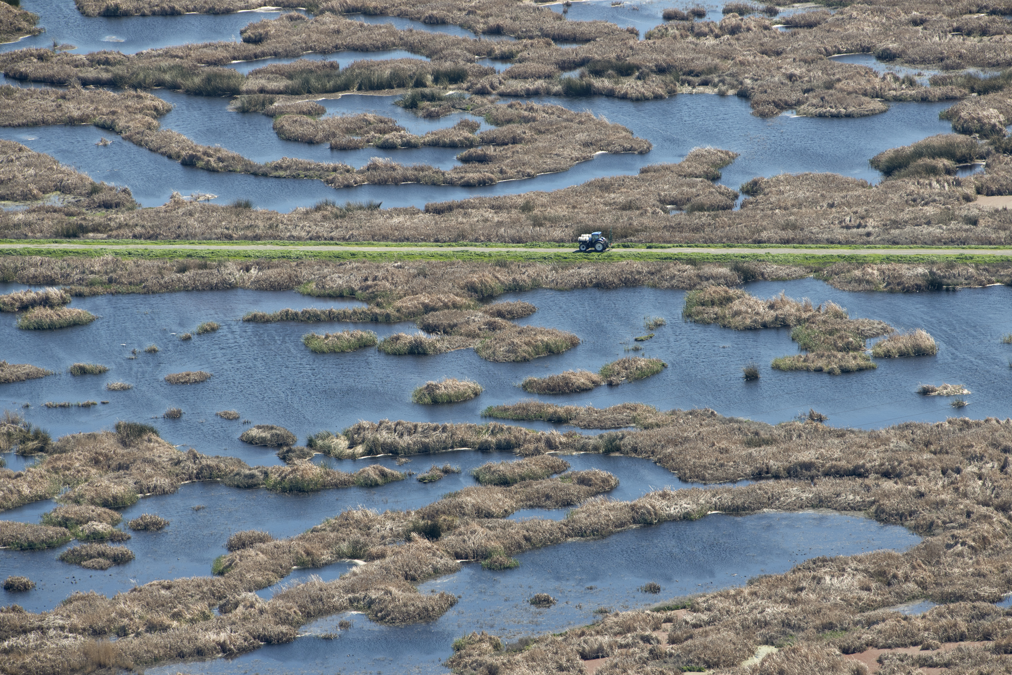 An aerial view of wetlands on Sherman Island, part of the Sacramento-San Joaquin River Delta