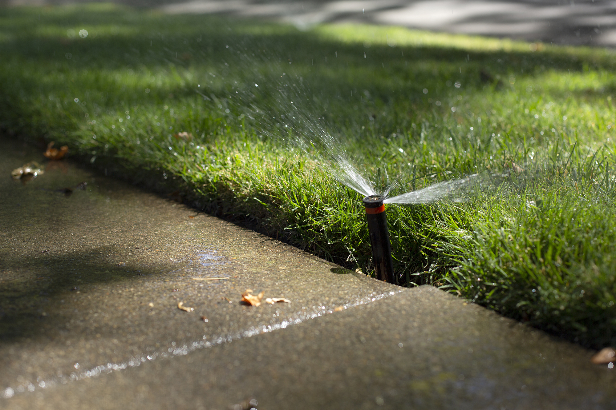 Sprinklers water a lawn in Sacramento on June 29, 2022. Photo by Miguel Gutierrez Jr., CalMatters