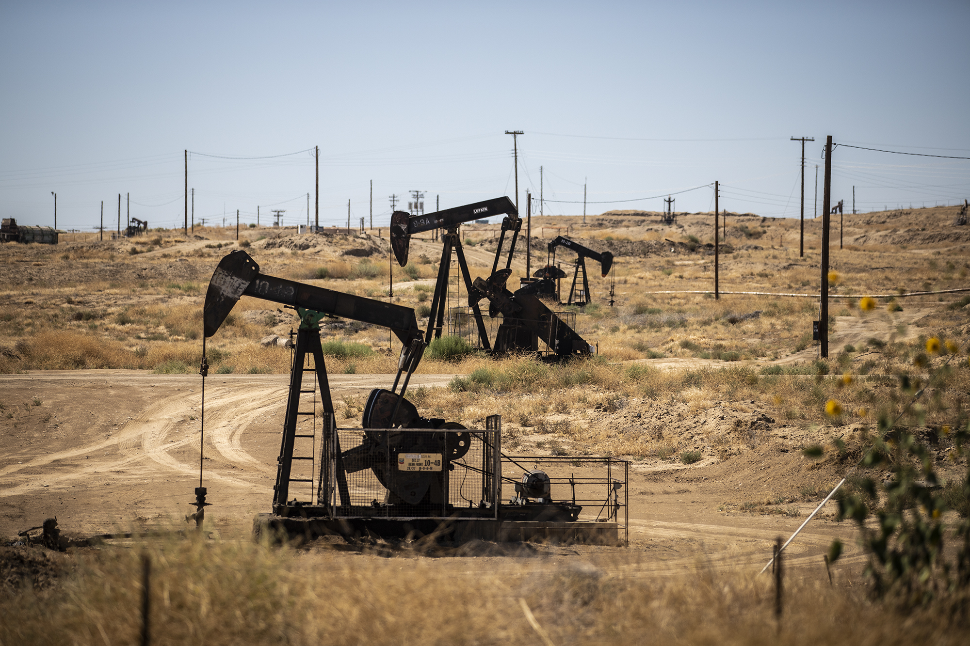 Oil pumps in the Kern River Oil Field near Bakersfield on July 6, 2022. Photo by Larry Valenzuela, CalMatters/CatchLight Local
