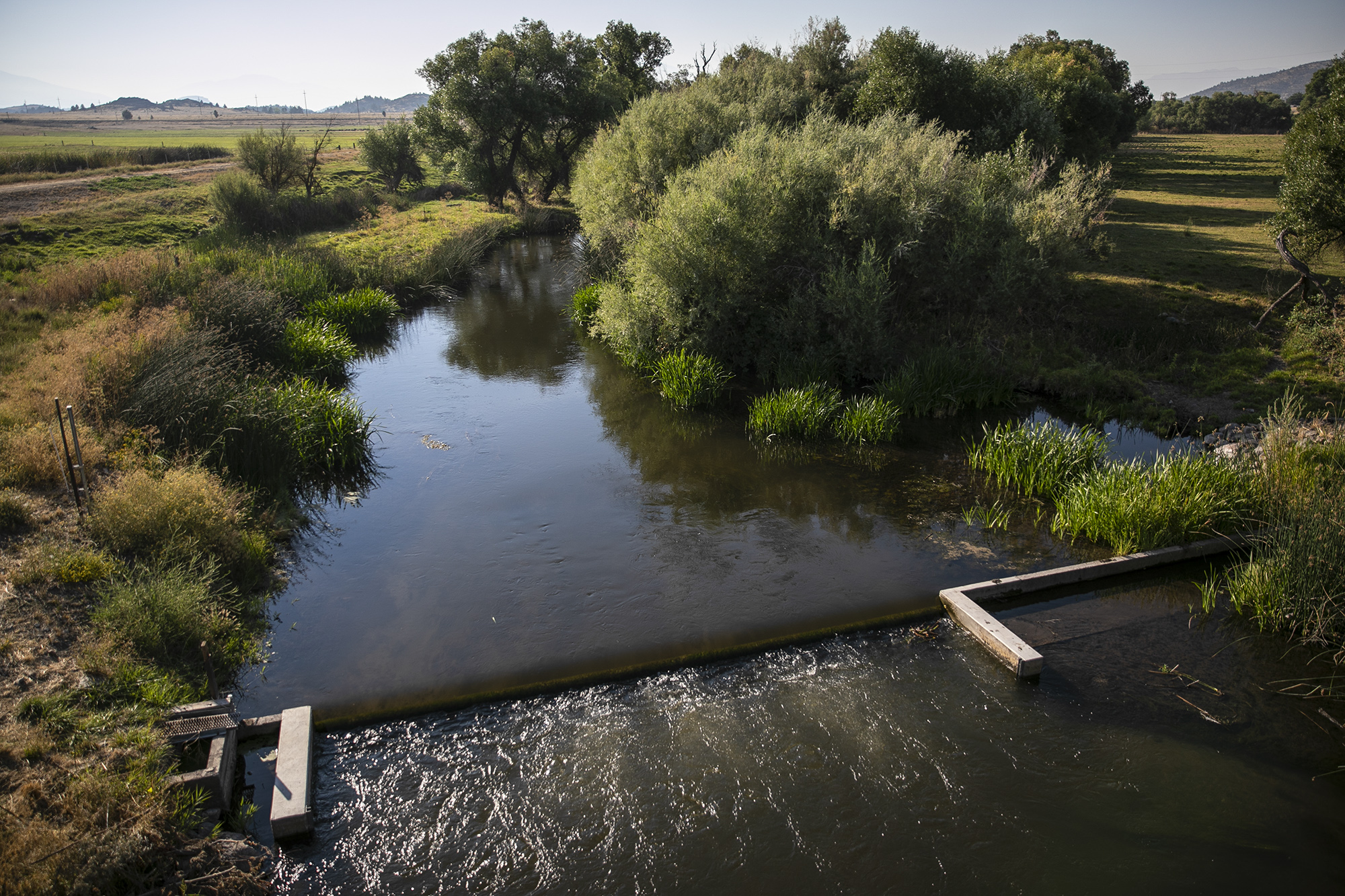 The Shasta River flows through Montague