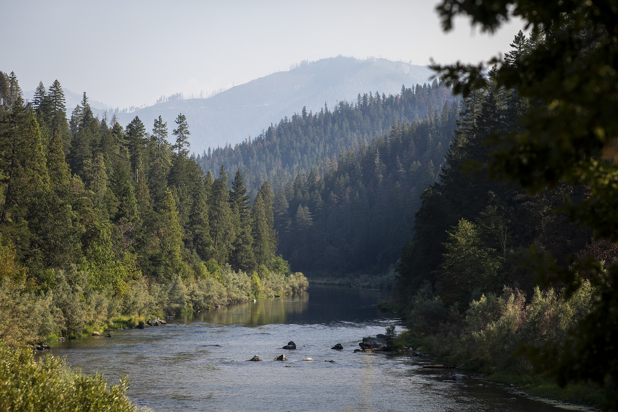 The Klamath River flows outside of Happy Camp on Aug. 29, 2022. Photo by Martin do Nascimento, CalMatters