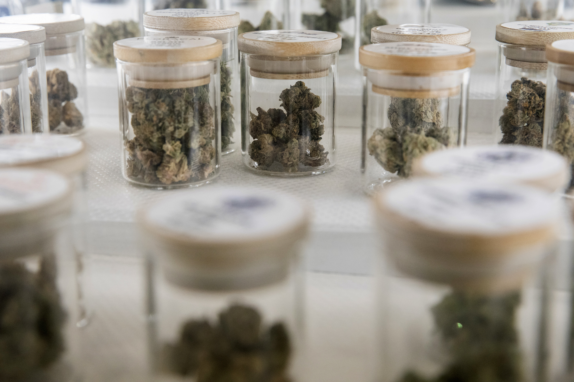 Different varieties of cannabis flower are on display at one of the Catalyst Cannabis Co. dispensary locations in Long Beach on Friday, May 27, 2022. Photo by Alisha Jucevic for CalMatters