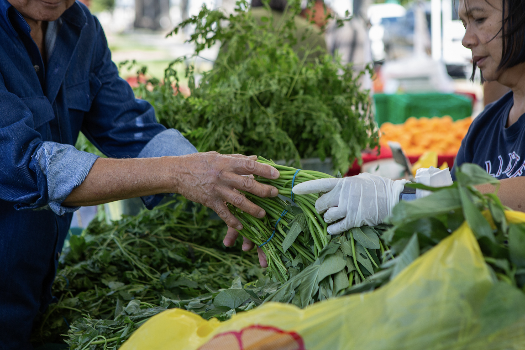 A customer picks produce at the farmers' market in Fairfield on June 15, 2023. Photo by Semantha Norris, CalMatters