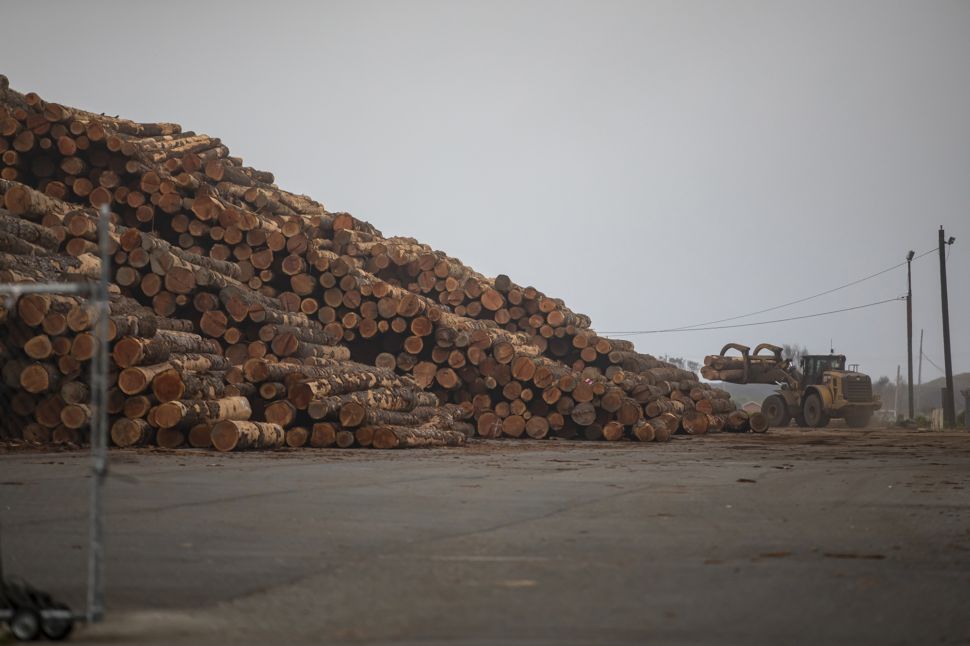 Lumber piles in a saw mill in Eureka on June 8, 2023. Photo by Larry Valenzuela, CalMatters/CatchLight Local