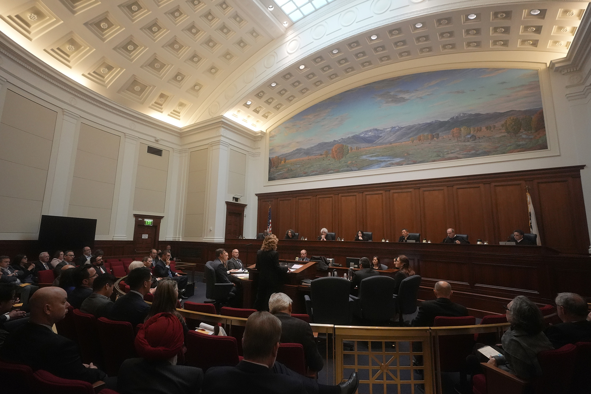 Attorney Margaret R. Prinzing, representing representing the California Governor and Legislature, standing, speaks at the California Supreme Court in San Francisco, Wednesday, May 8, 2024. The California Supreme Court heard arguments Wednesday about whether to remove a measure from the November ballot that would make it harder for state and local governments to raise taxes. Photo by Jeff Chiu, AP Photo