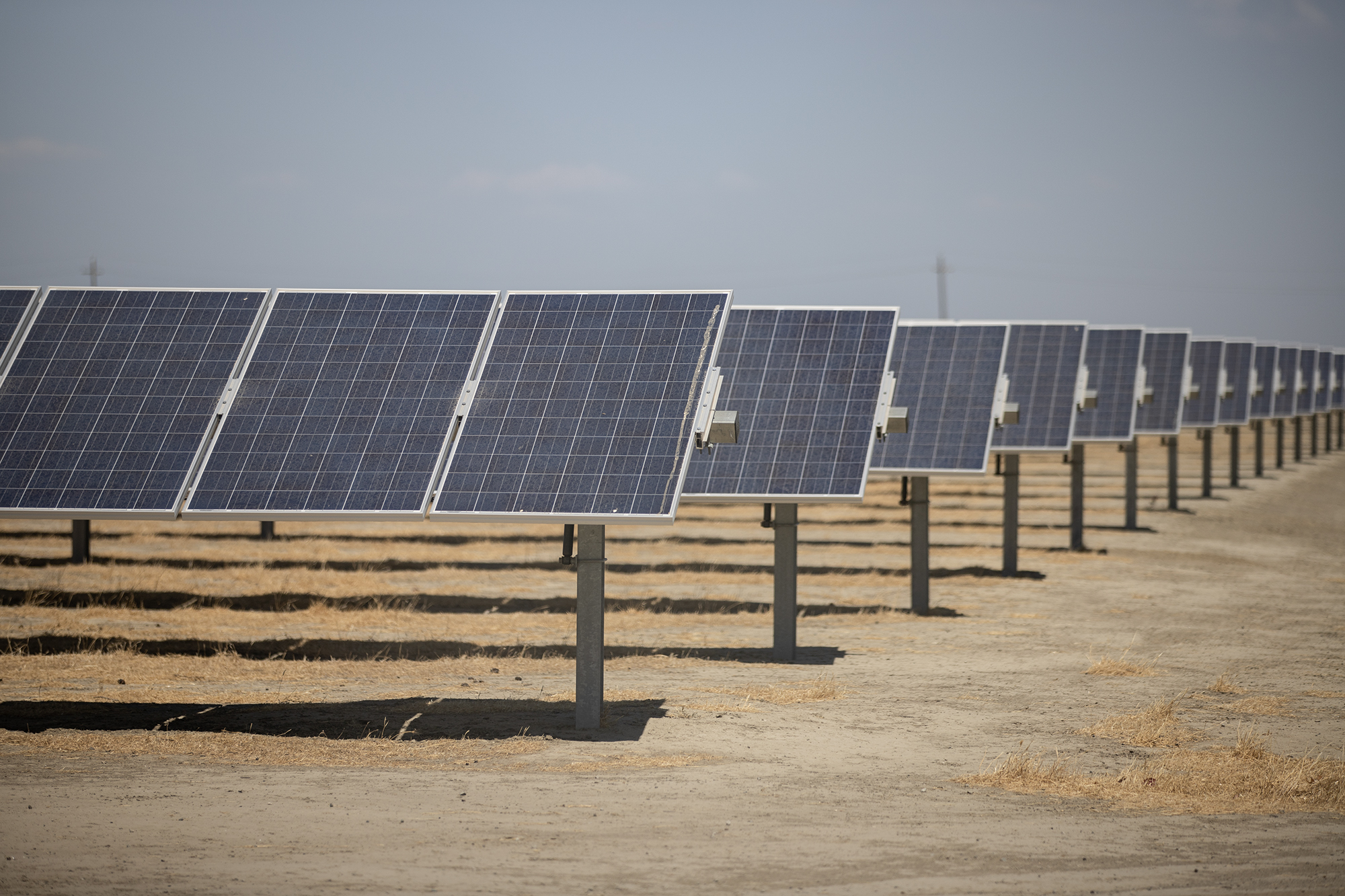 Solar panels at the Kettleman City Power solar farm on July 25, 2022. Photo by Larry Valenzuela, CalMatters/CatchLight Local