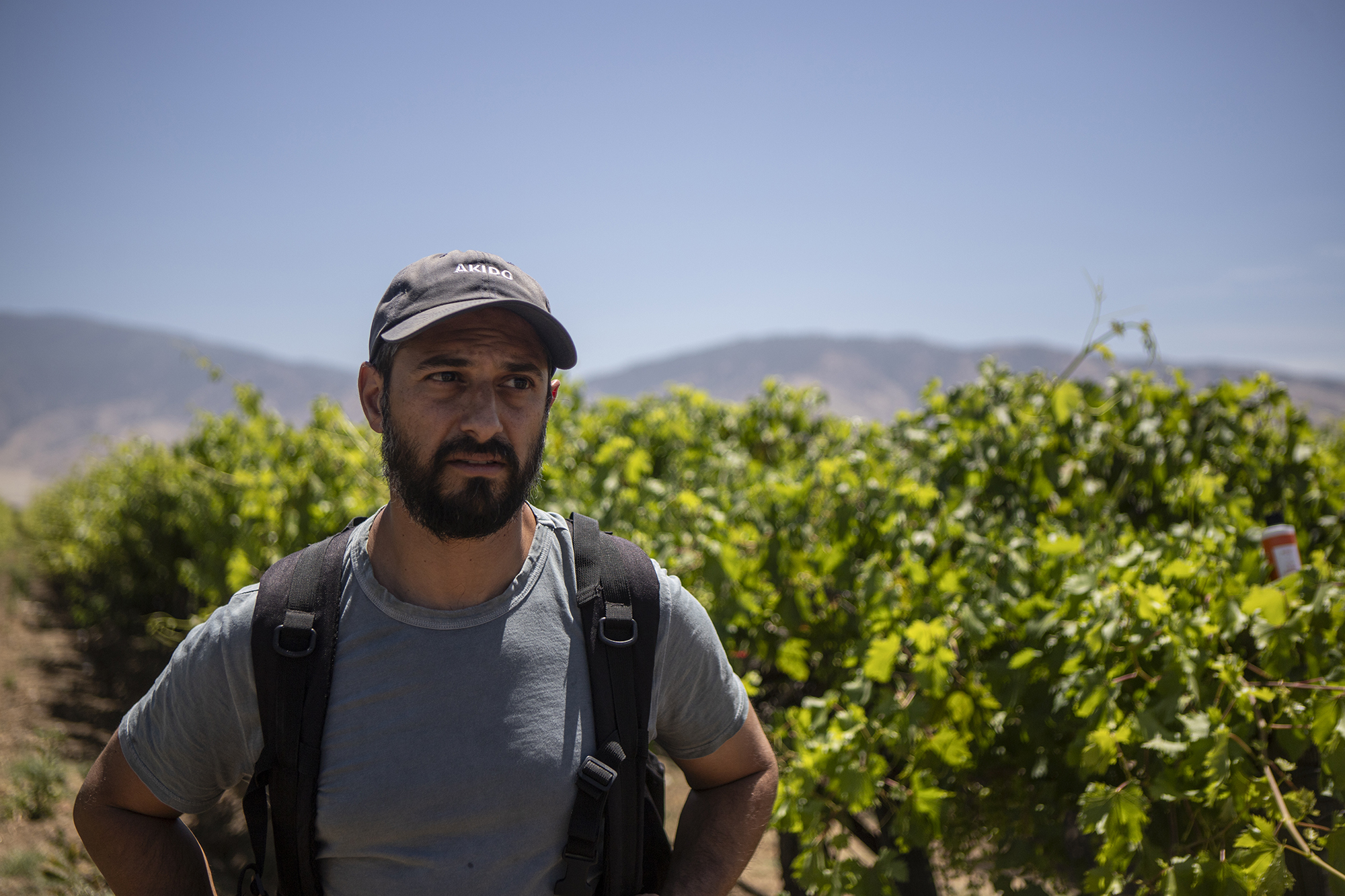 Dr. Rishi Patel from the Akido street medicine team checks on a homeless living in a vineyard in Arvin on May 28, 2024. Street medicine teams throughout California are increasingly using long-acting injectable antipsychotic medication to stabilize the mental health of people living in homeless encampments. Photo by Larry Valenzuela, CalMatters/CatchLight Local