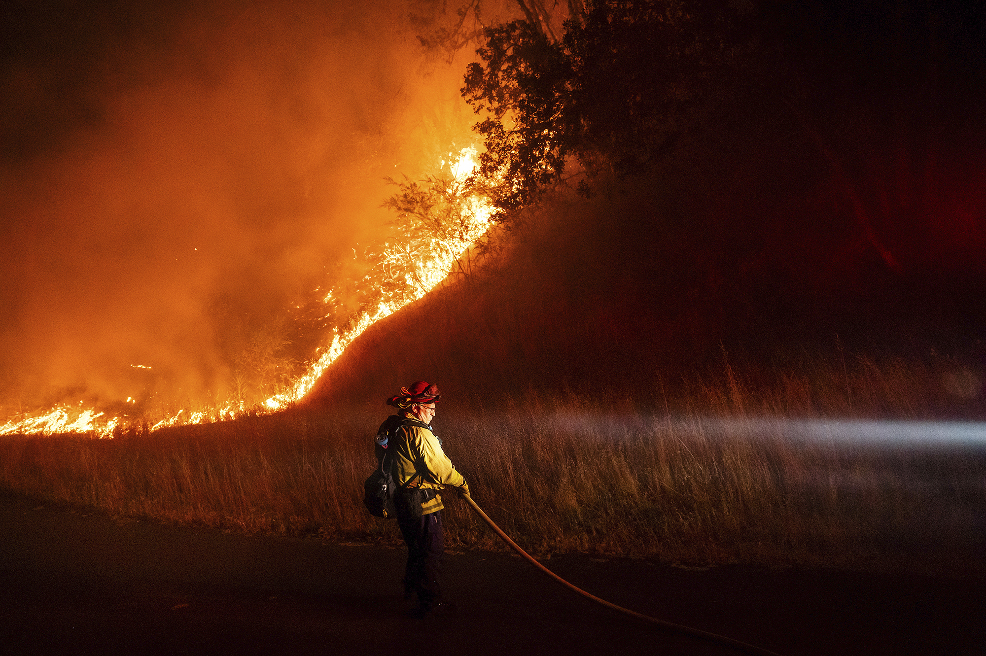 A firefighter carries a hose while battling the Point Fire along West Dry Creek Road in Healdsburg on June 16, 2024. Photo by Noah Berger, AP Photo