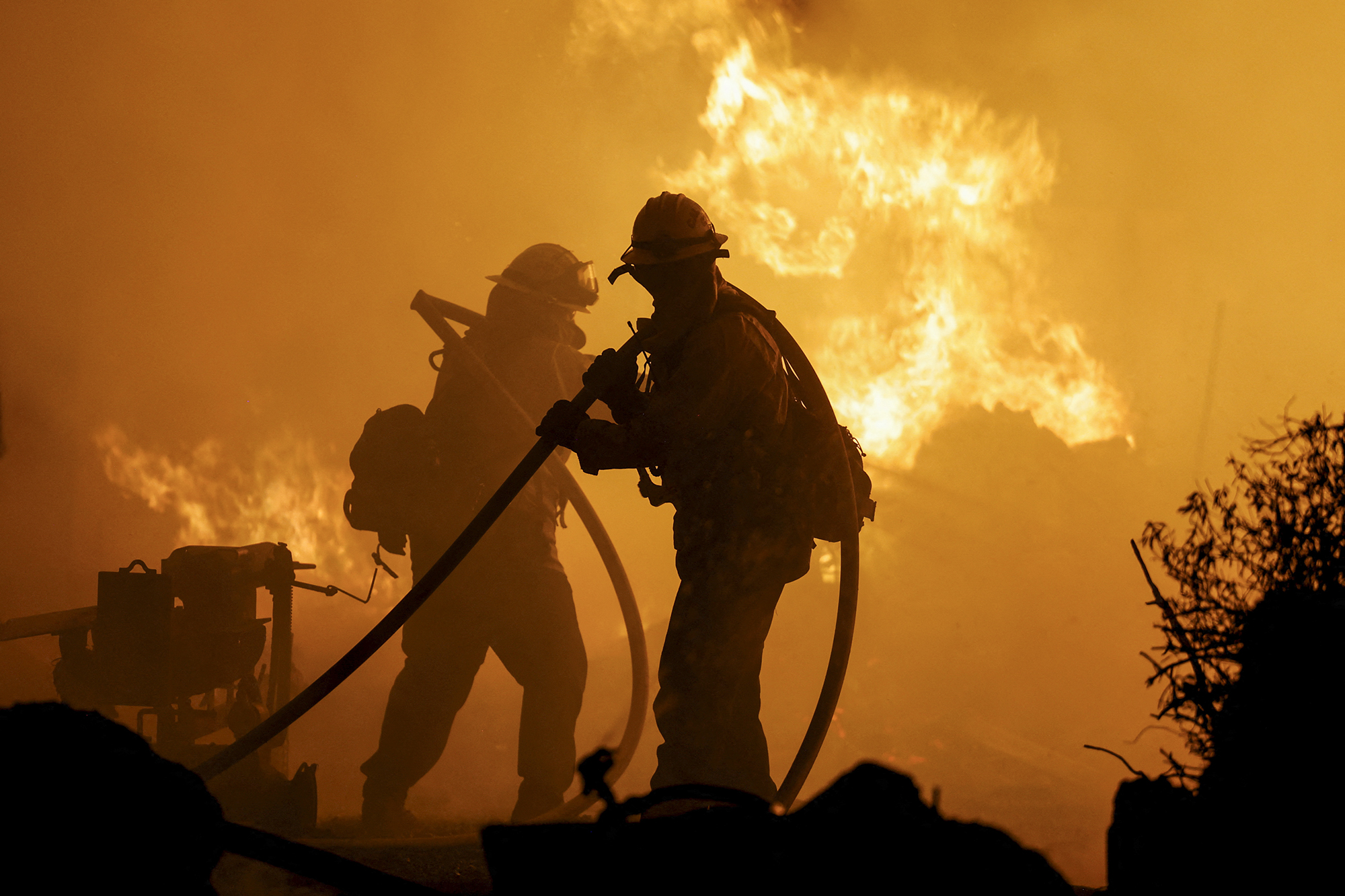 Firefighters work as Park Fire burns near Chico on July 25, 2024. Photo by Fred Greaves, REUTERS