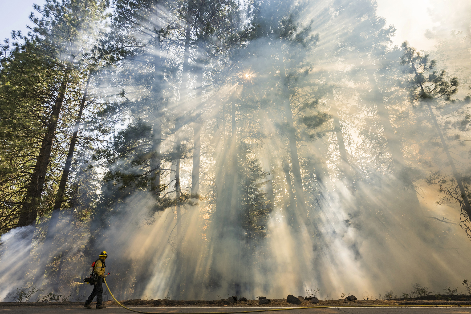 A firefighter monitors a burn operation on Highway 32 to combat the Park Fire near Forest Ranch on July 28, 2024. Photo by Nic Coury, AP Photo