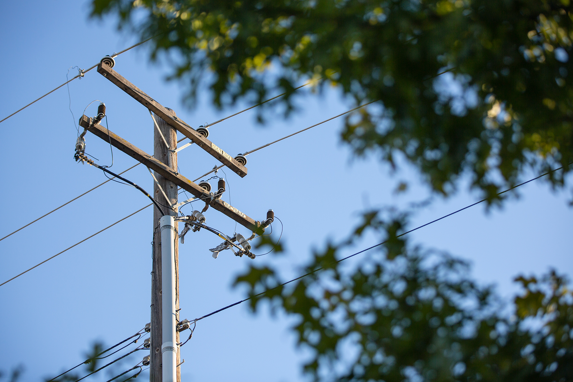 Power lines in Sacramento on Sept. 20, 2022. Photo by Rahul Lal, CalMatters