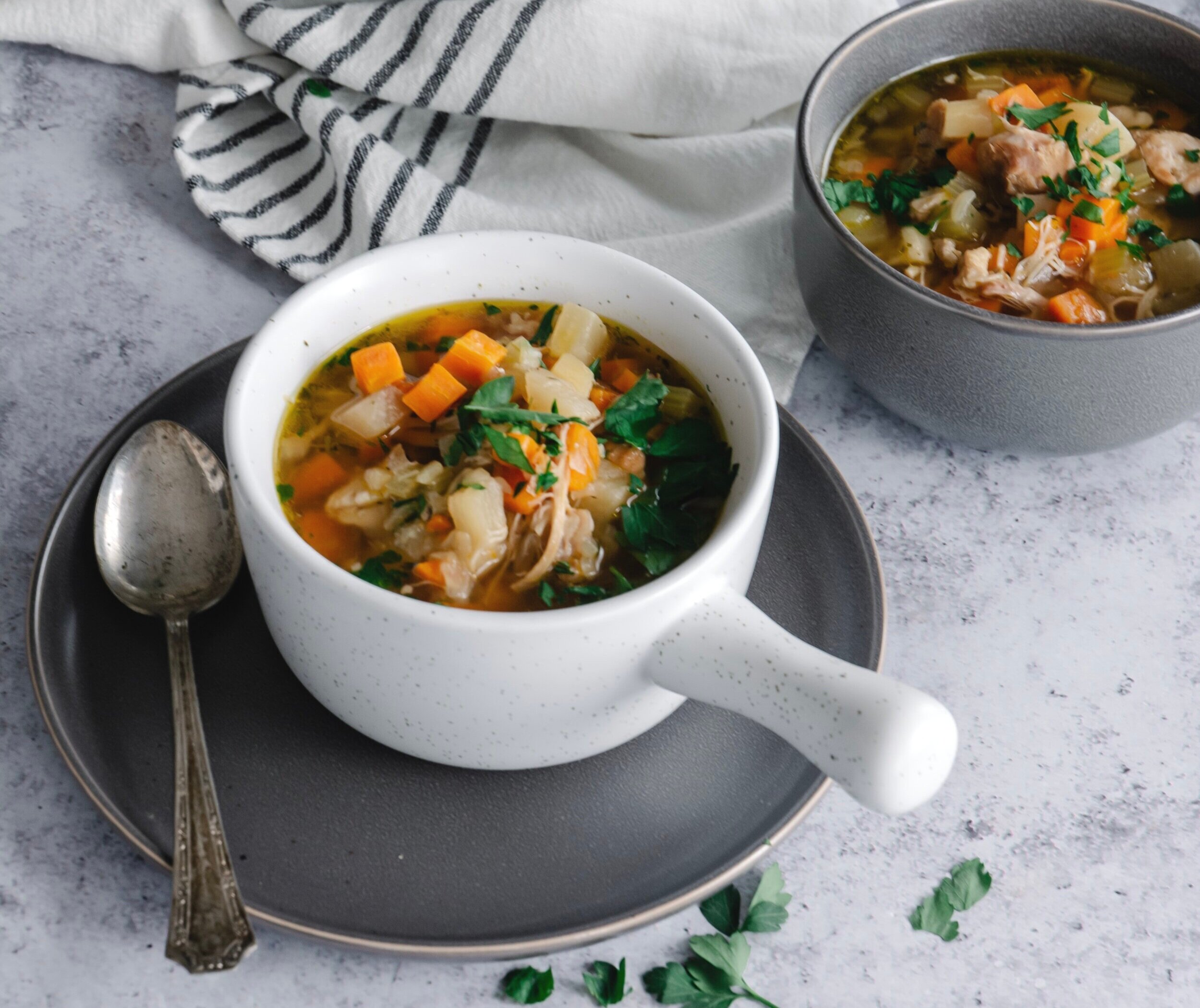 Instant Pot Chicken Vegetable Soup