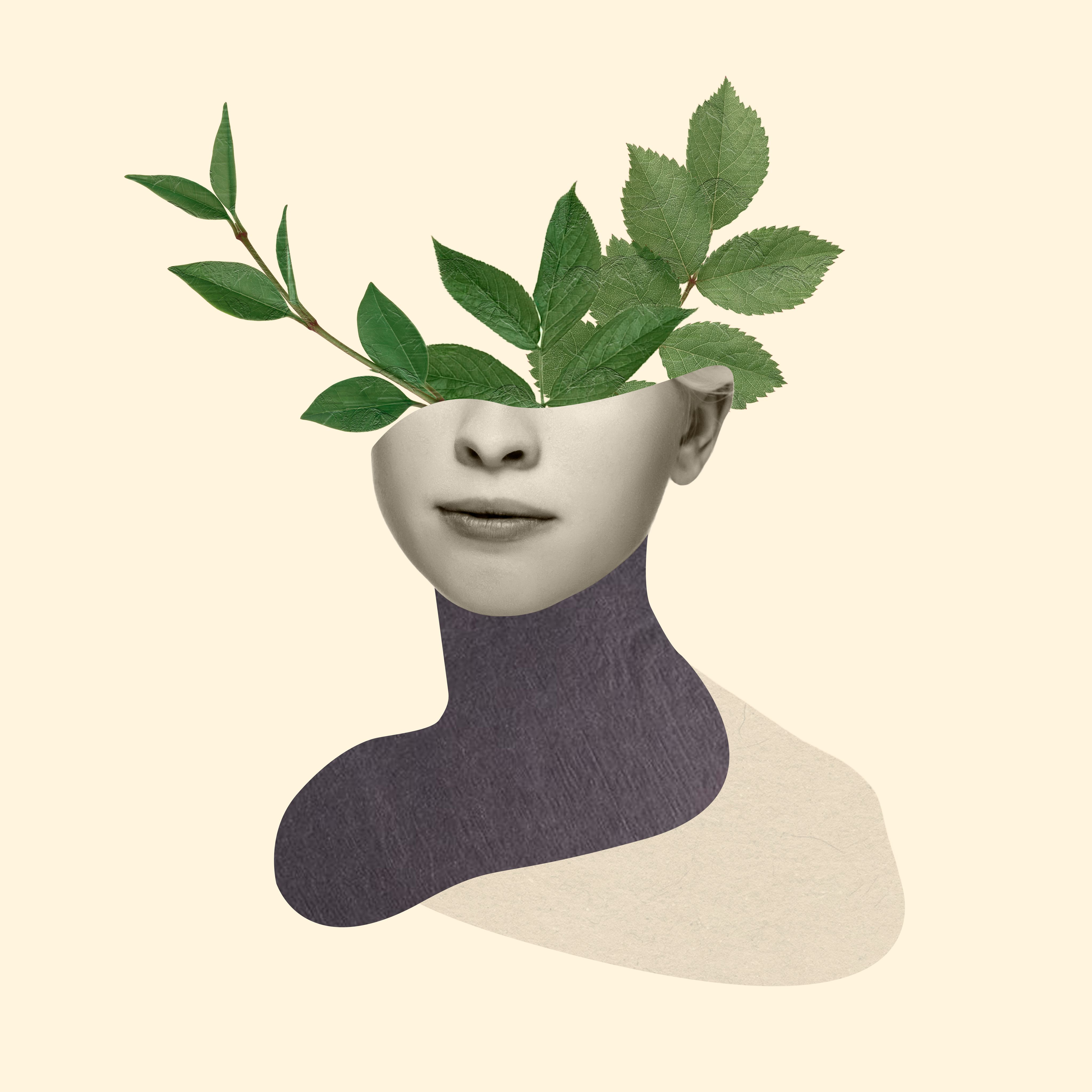 Psychedelic plant legalization