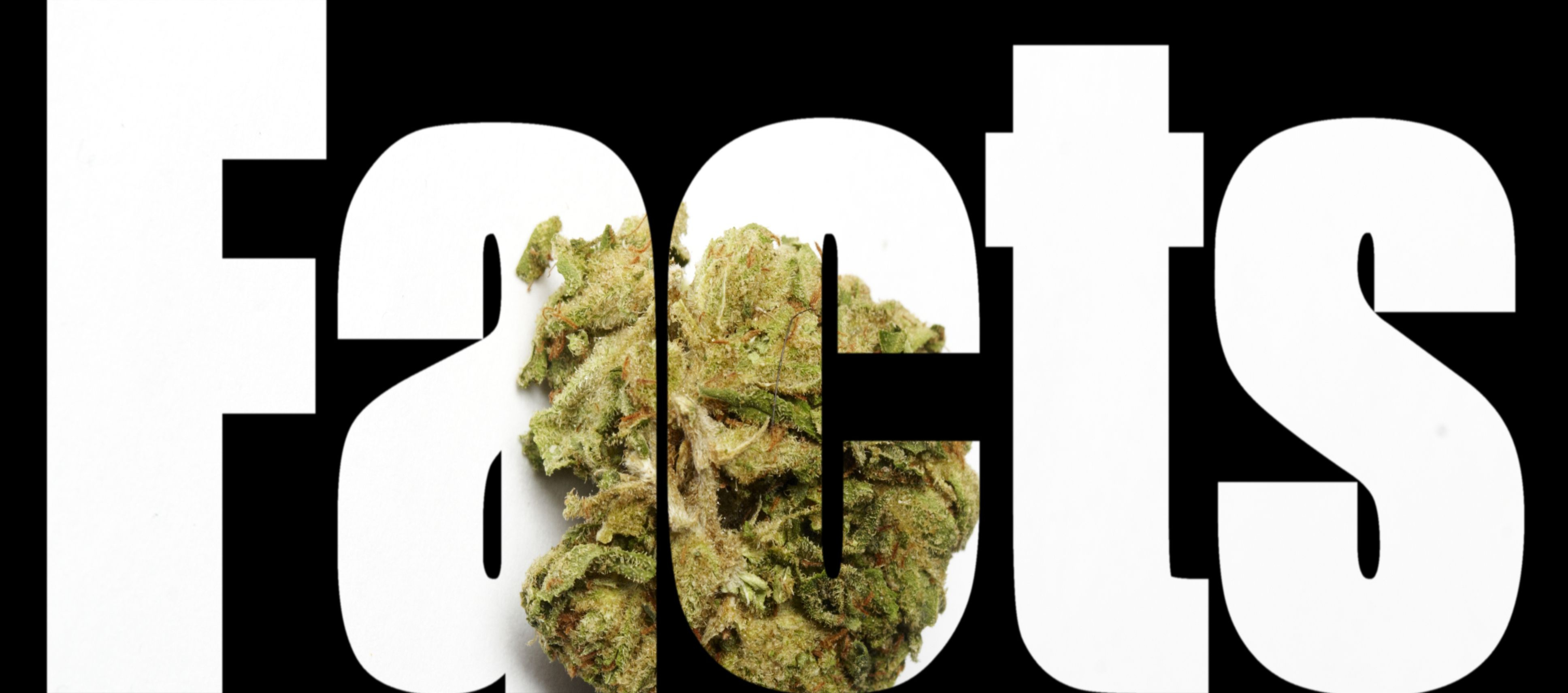 research integrity cannabis