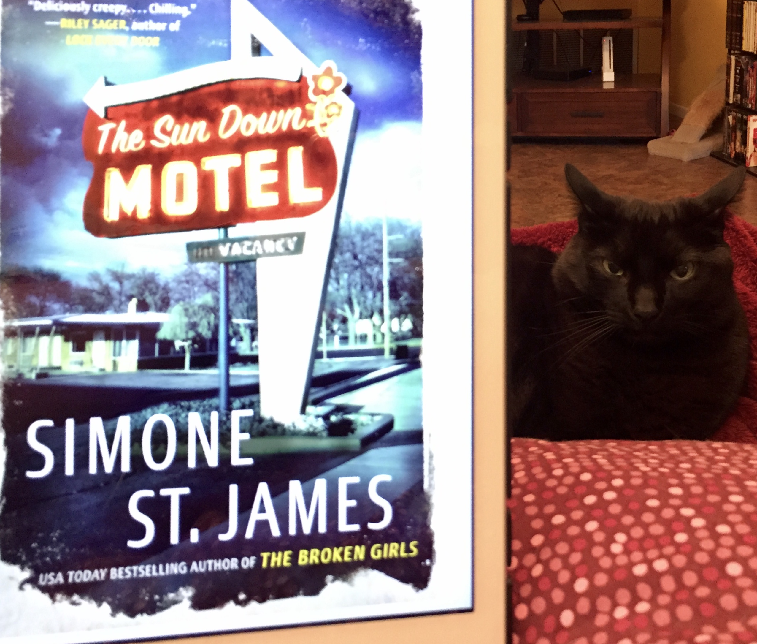 The Sun Down Motel By Simone St James Esme Book Review Cannonball Read 14