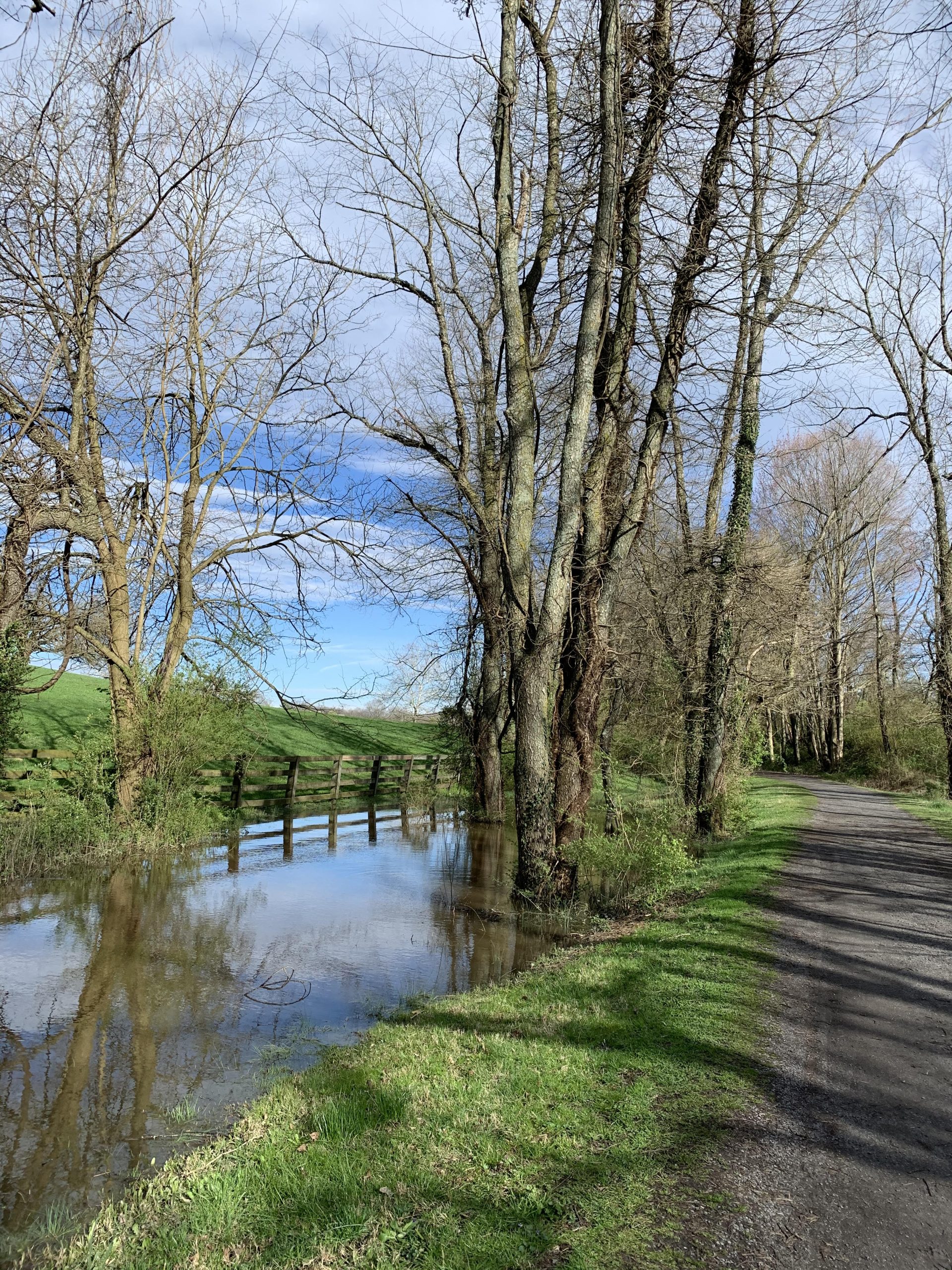 The Virginia Creeper trail. Photo by Mary Trigiani.