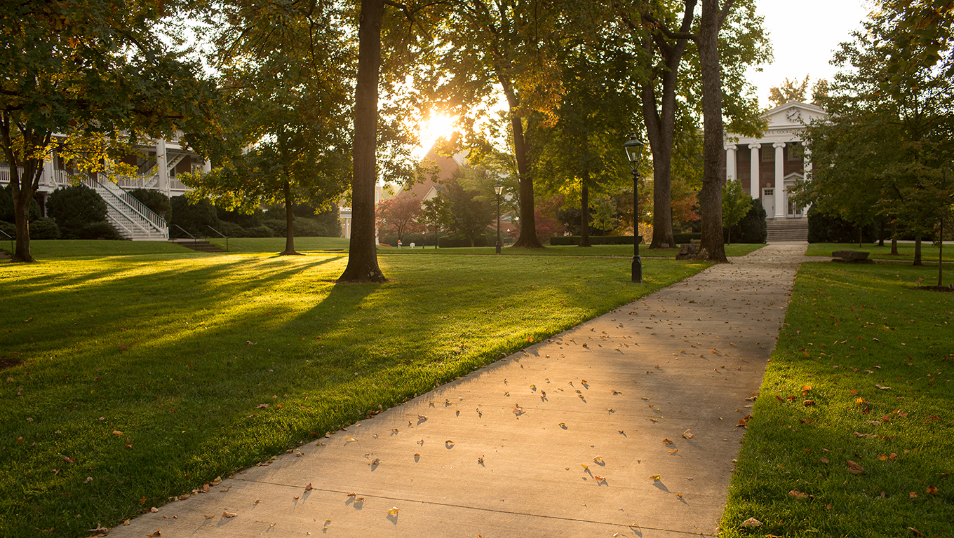 A sidewalk leading across a grassy area on Hollins University campus.