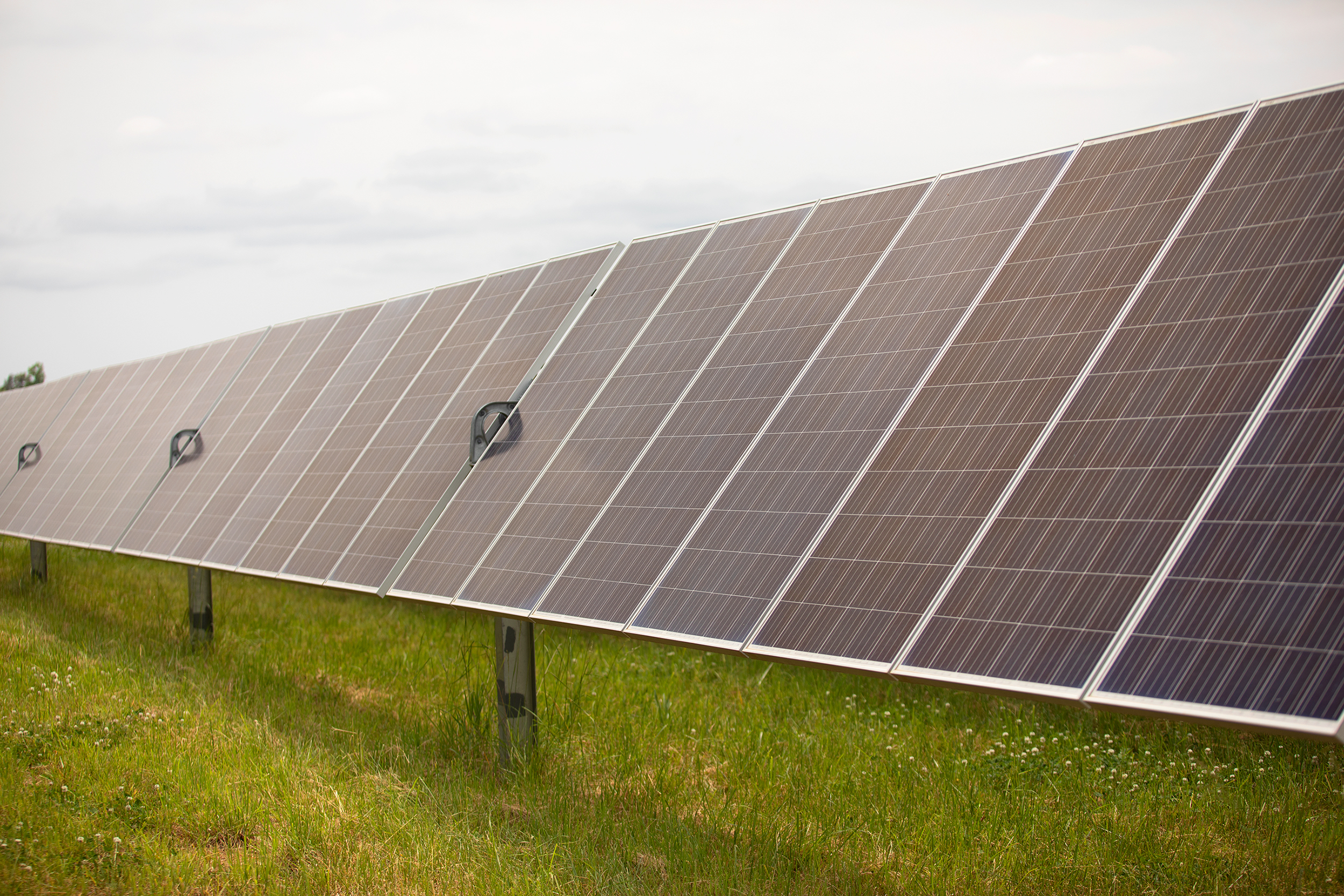 Solar panels in a field