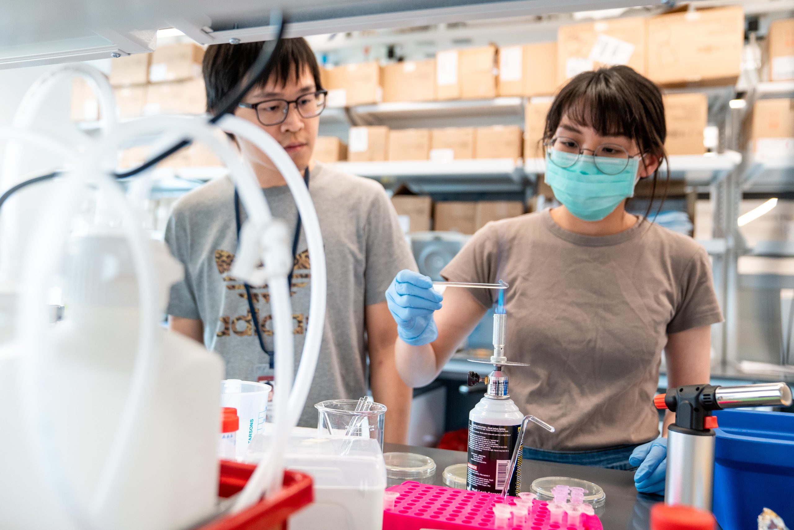 Research at the Fralin Biomedical Research Institute. Courtesy of the institute.