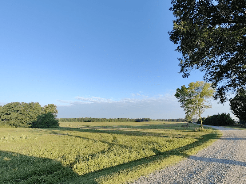 The Coles Hill site in Pittsylvania County. Beneath this land lies a uranium deposit. Courtesy of Consolidated Uranium.