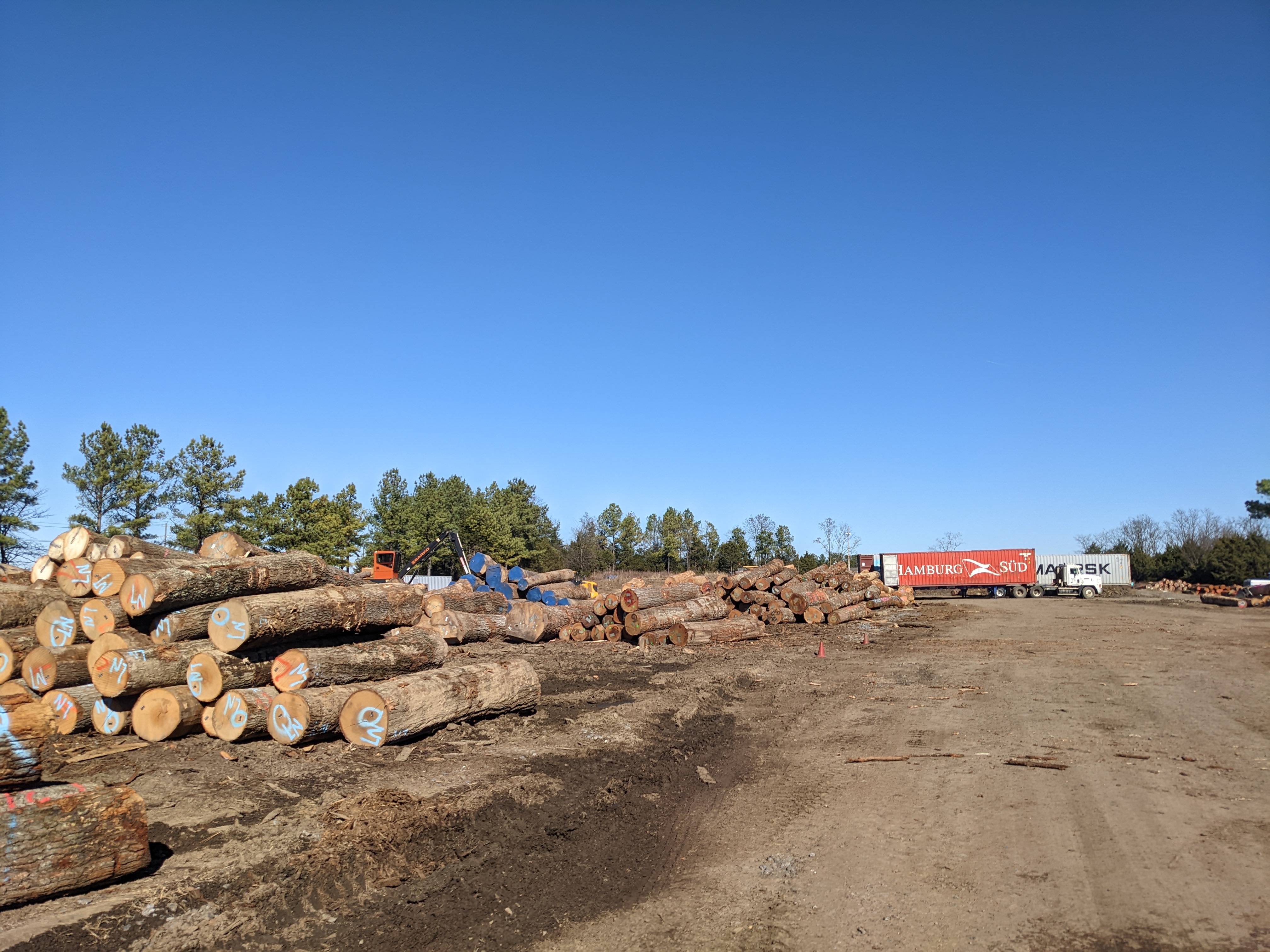 The inland port leases space to Allegheny Exports, which prepares logs for shipping. Most of the cargo that leaves the inland port for Norfolk is agricultural. Photo by Megan Schnabel.