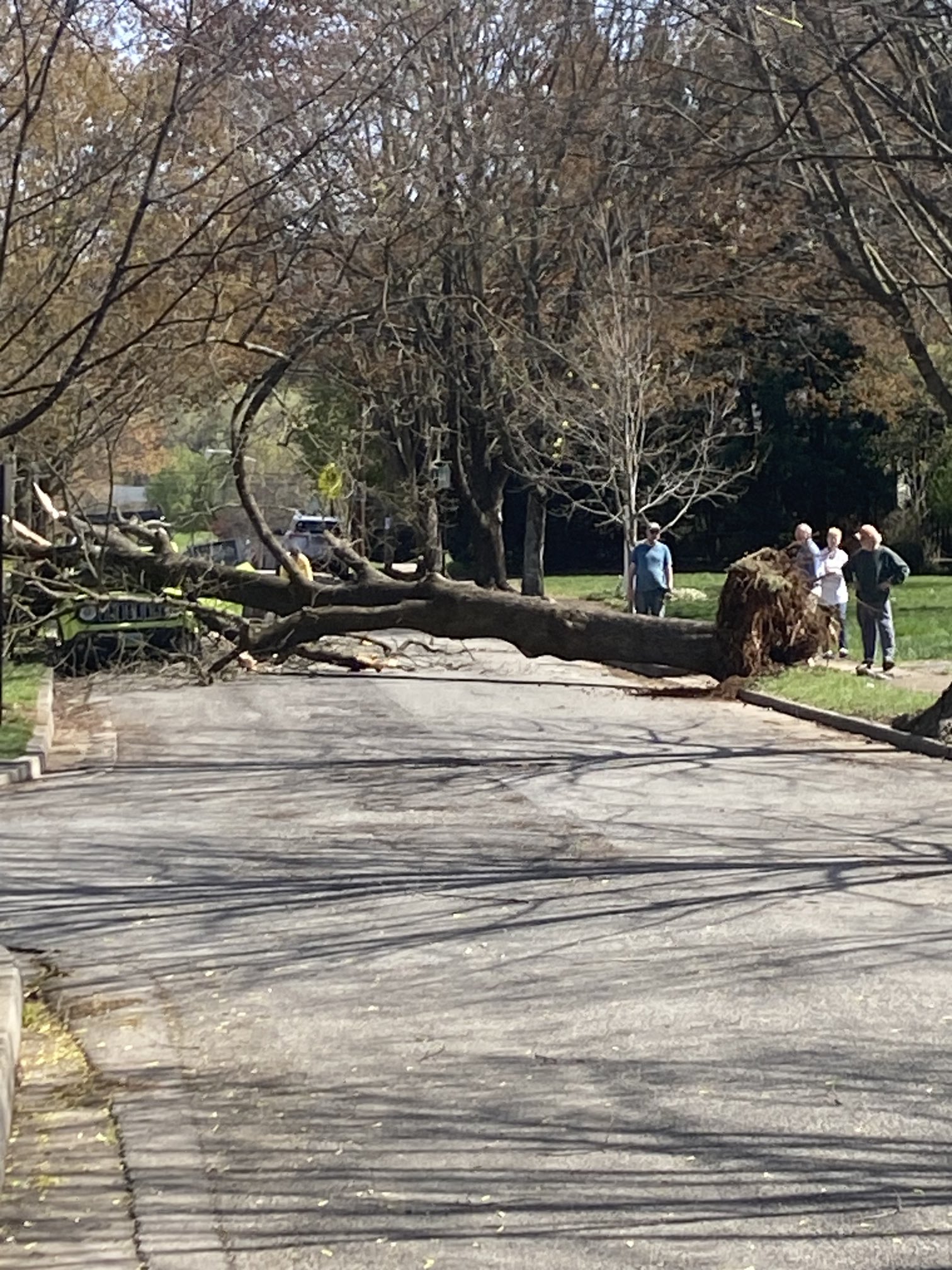 A tree blown over a street in the Raleigh Court neighborhood of Ronaoke damaged two cars on Saturday. Winds gusted up 60 mph in Ronaoke and from 50-65 mph across many locations in Southwest and Southside Virginia behind a cold front this past weekend. Photo courtesy of John Moyer.