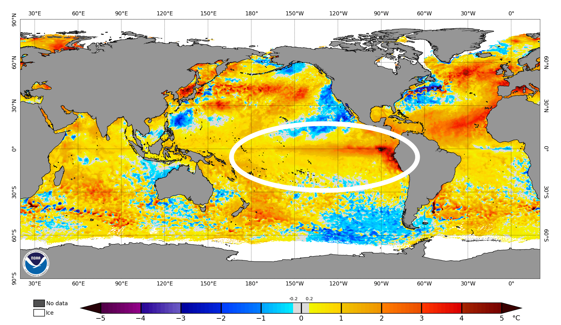 The stripe of red signifying El Niño is circled on this map of global sea surface temperature anomalies. Courtesy of NOAA.