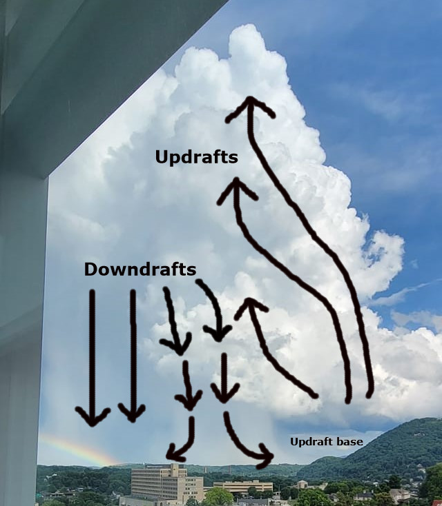 This photo of a rotating storm structure over Roanoke on July 14 appeared in a previous Cardinal Weather column. Here it is illustrated with arrows displaying updrafts and downdrafts. They are nearly separated though perhaps overlap some in the middle of what began a supercell structure but morphed into more of a multicell storm. Photo courtesy of Laurie Adams, description by Kevin Myatt.