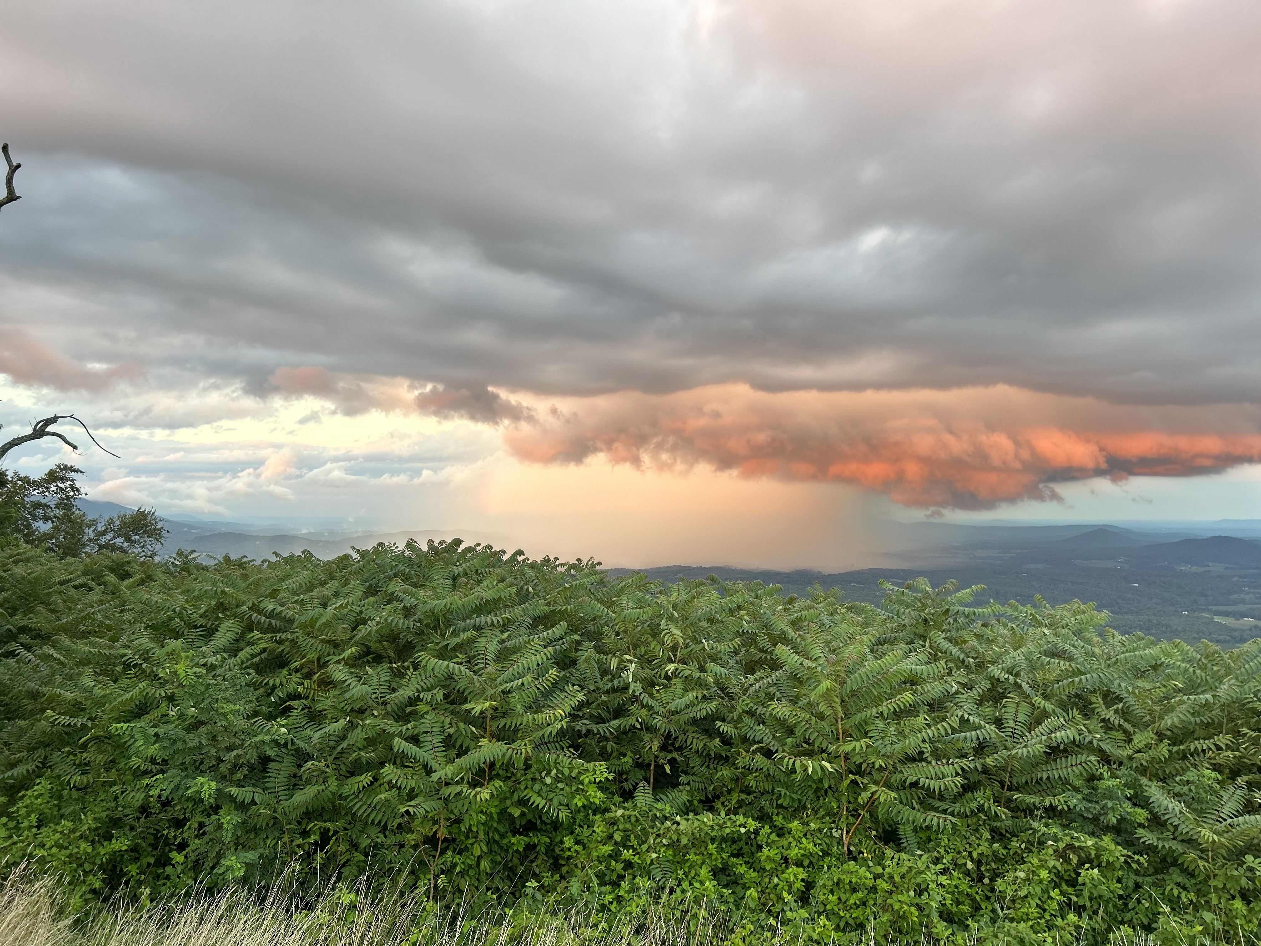Late-day sun casts an eerie orange glow on a late day showers as seen from the Blue Ridge Parkway south of Roanoke on Sunday, July 30. Courtesy of Beth JoJack.