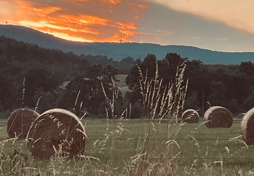 Red sky and hay bales, as seen in this photo earlier this month from Bent Mountain in southwest Roanoke County by Kay Moore, are suggestive of late summer gradually moving toward fall. The past week, and the next one, have had the flavors of summer heat and autumn cool mornings. Courtesy of Kay Moore.