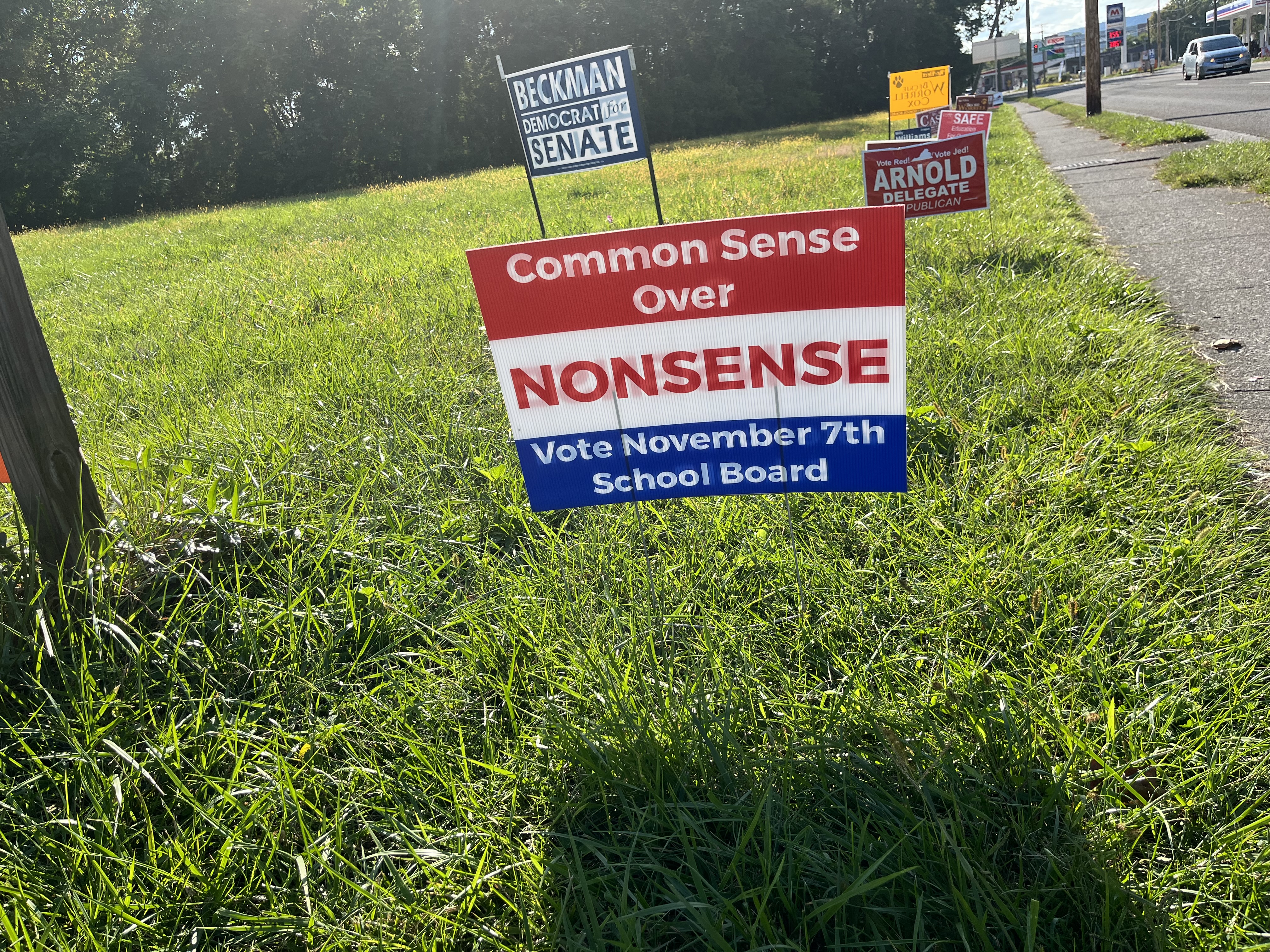 Election signs in Pulaski County.