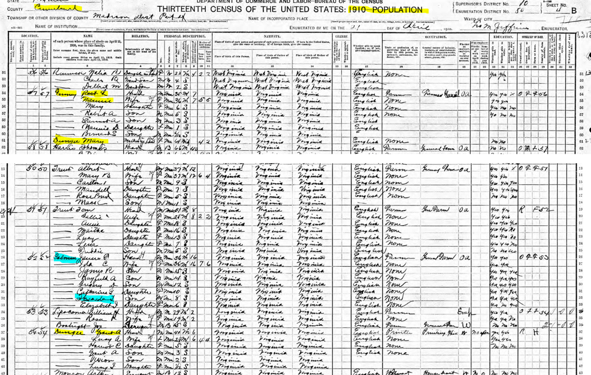 1910 Census Excerpts (Madison DIstrict, Cumberland County, Virginia)