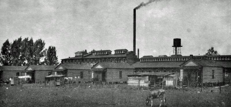 The Roanoke Cotton Mill. Courtesy of Library of Congress.