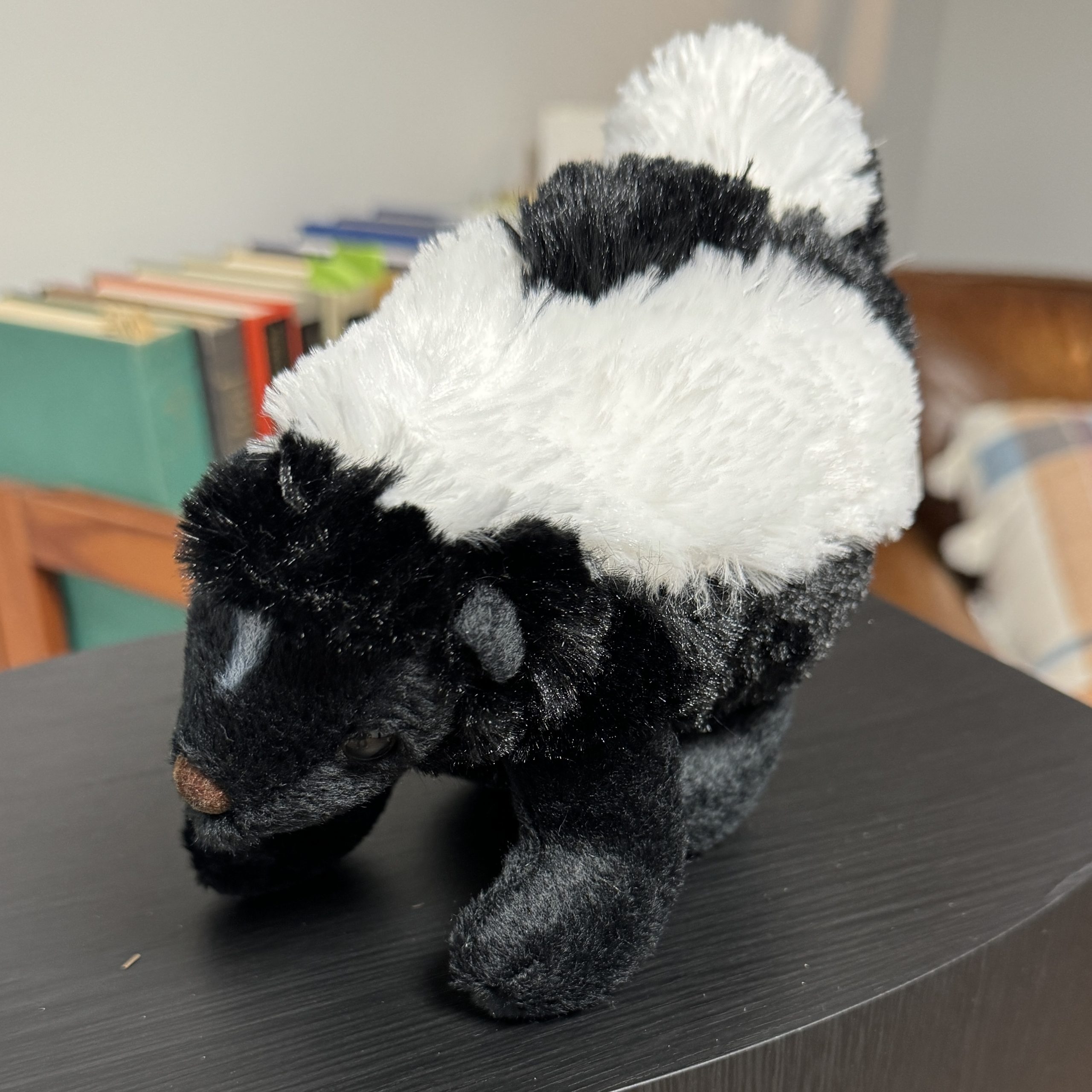 Purchased recently at a Virginia state park, this plush skunk was manufactured in Indonesia, which has no Virginia-type skunks but does have similar, related stink badgers. Photo by Joe Stinnett.