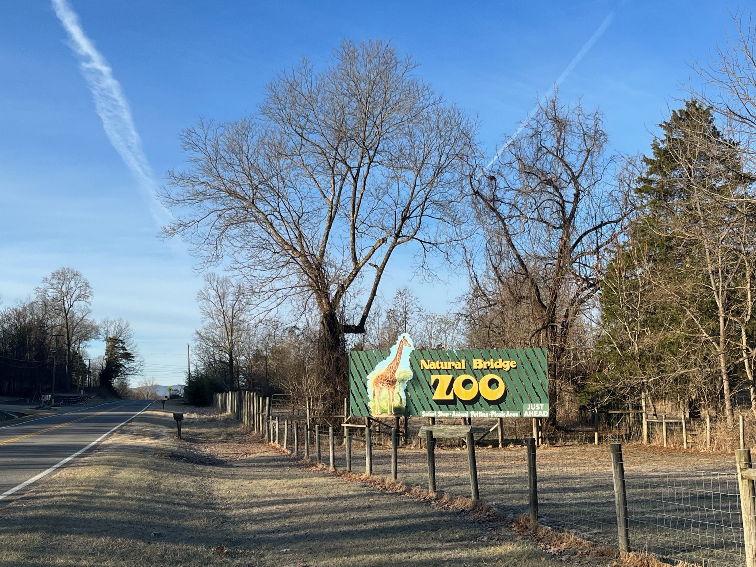 The Natural Bridge Zoo. Photo by Mark D. Robertson.