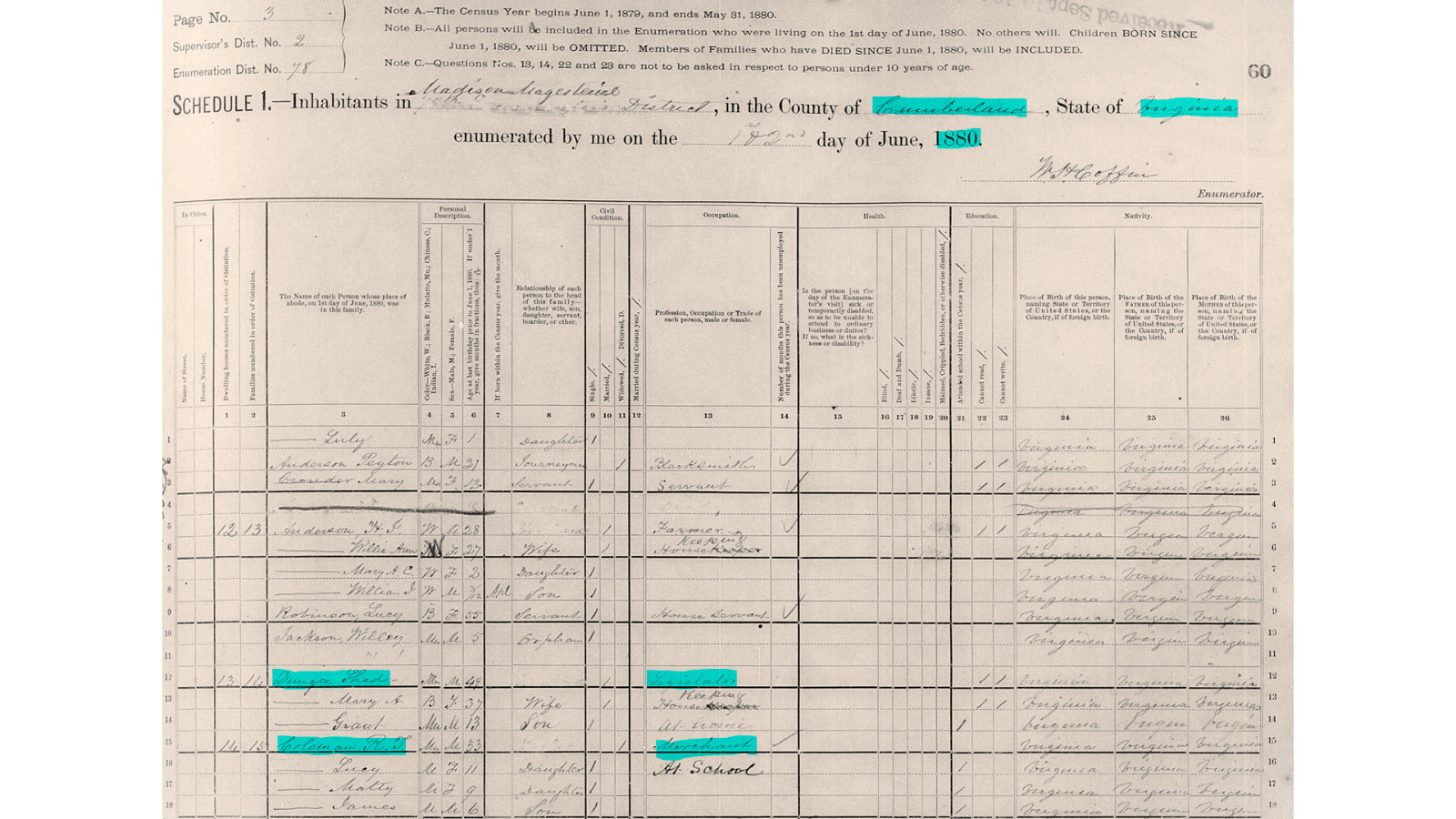 1880 US Census Excerpt (Madison District, Cumberland County, Virginia) 