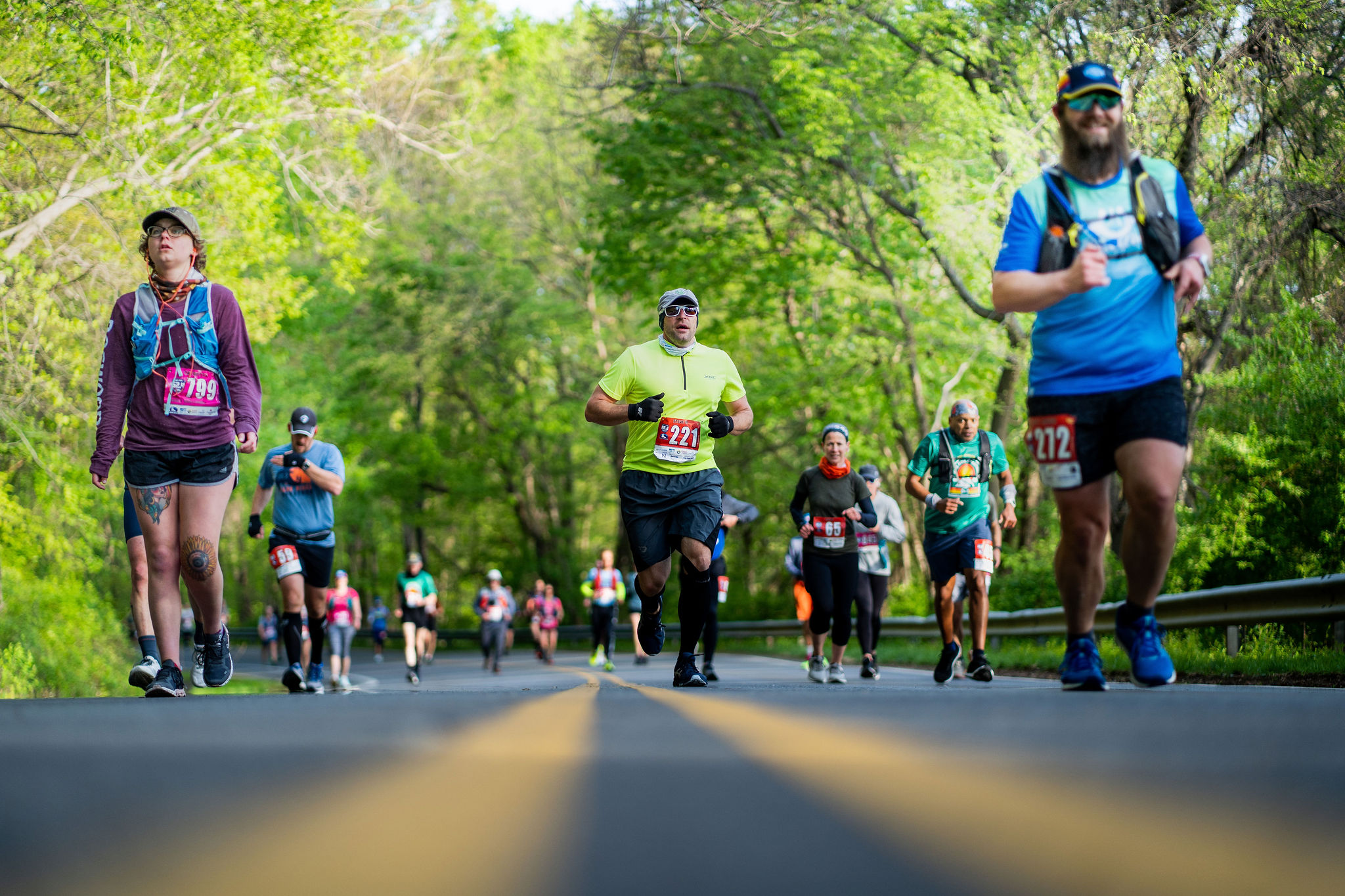 Marathon runners on a paved road with trees overhead.