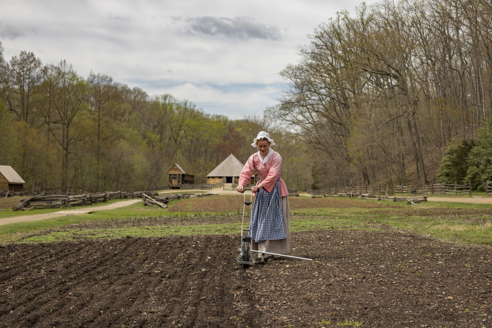 An interpreter at Mount Vernon tends a hemp crop. Photo courtesy of Mount Vernon Ladies' Association.