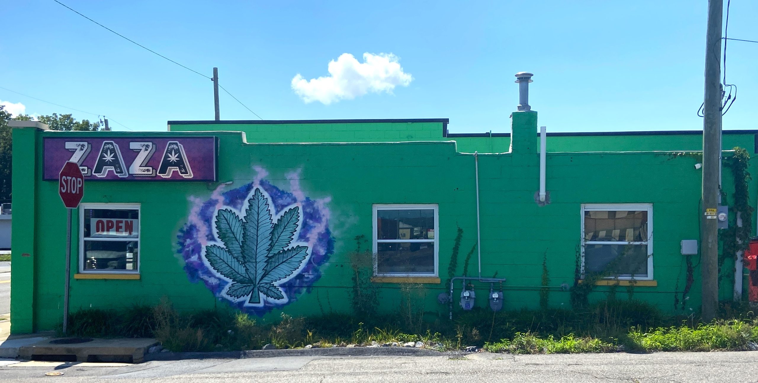At least nine cannabis-related stores are operating in Bristol, including five on State Street. Photo by Susan Cameron.