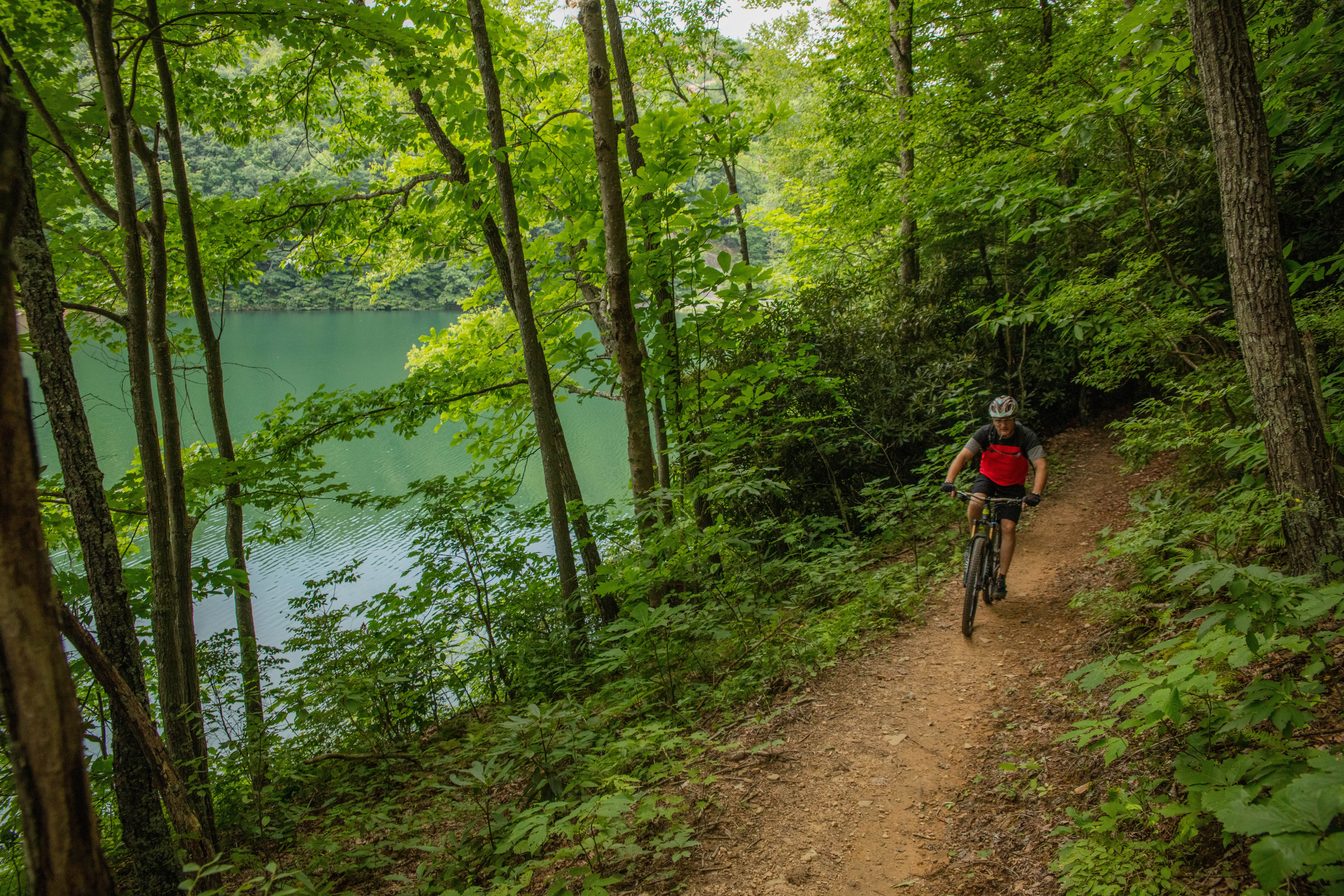 Shayne Fields rides his mountain bike on the Flag Rock Area Trails, near Norton, Virginia. July 2019. © Travis Dove/TNC
