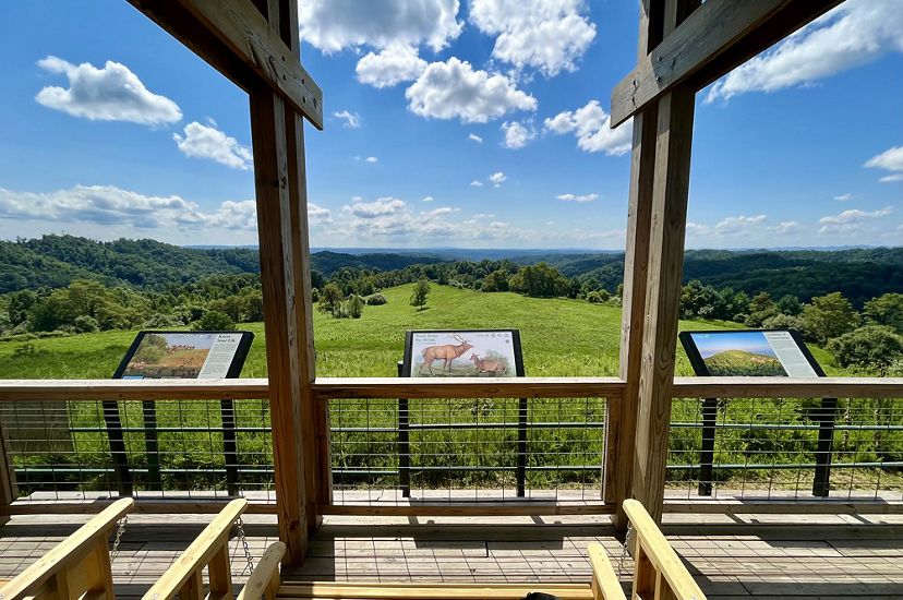 The Virginia Department of Wildlife Resources and local partners helped The Nature Conservancy install new interpretive signs focused on elk restoration and the surrounding Cumberland Forest. © Nick Proctor/TNC