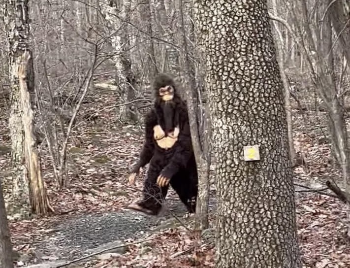 A bigfoot creature walks through a forest in the fall.